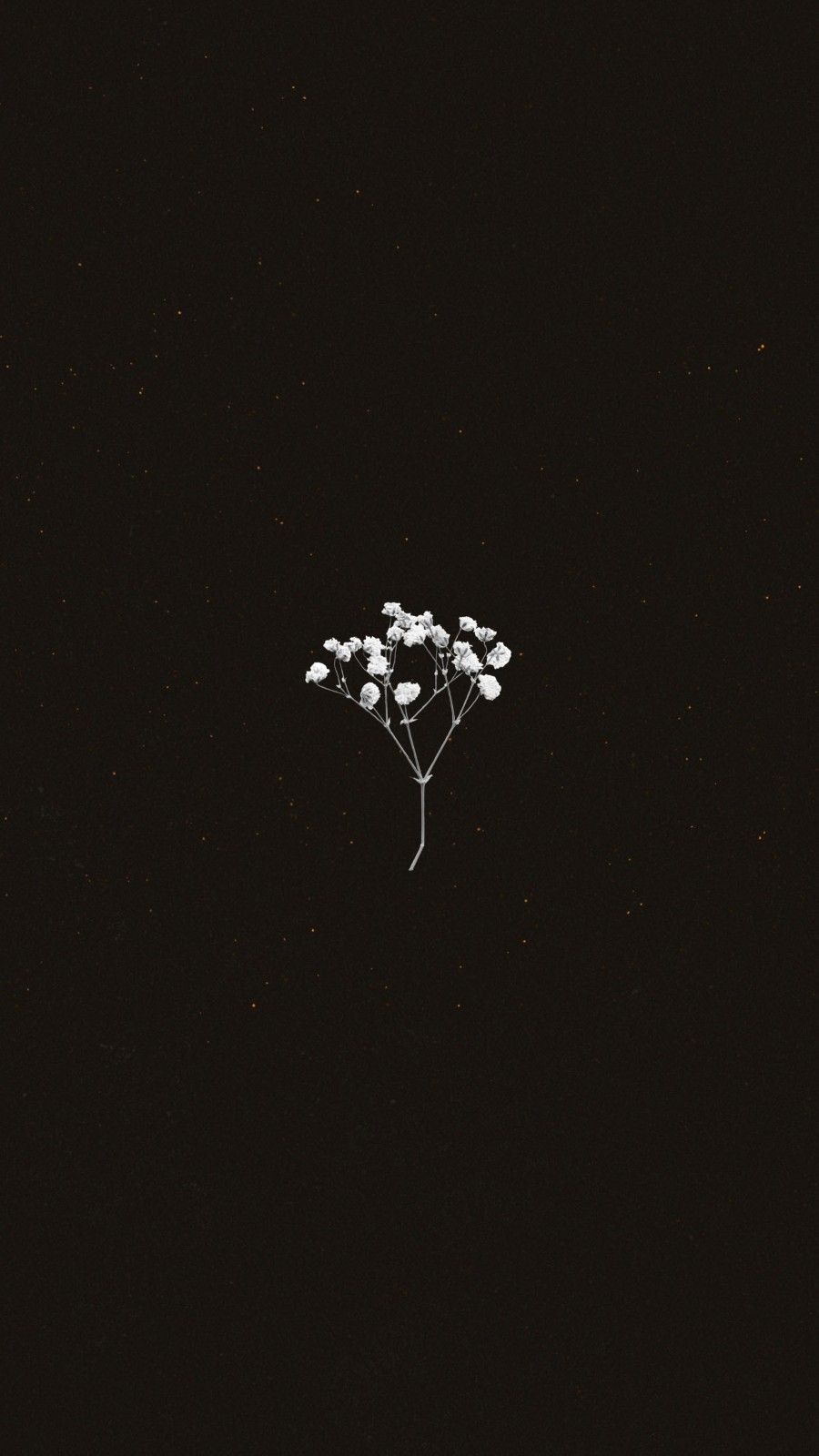 Minimalist Floral Wallpapers