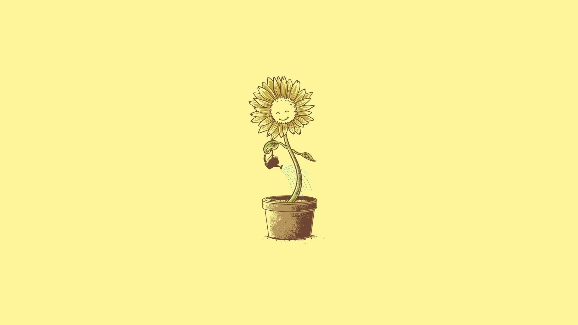 Minimalist Floral Laptop Wallpapers