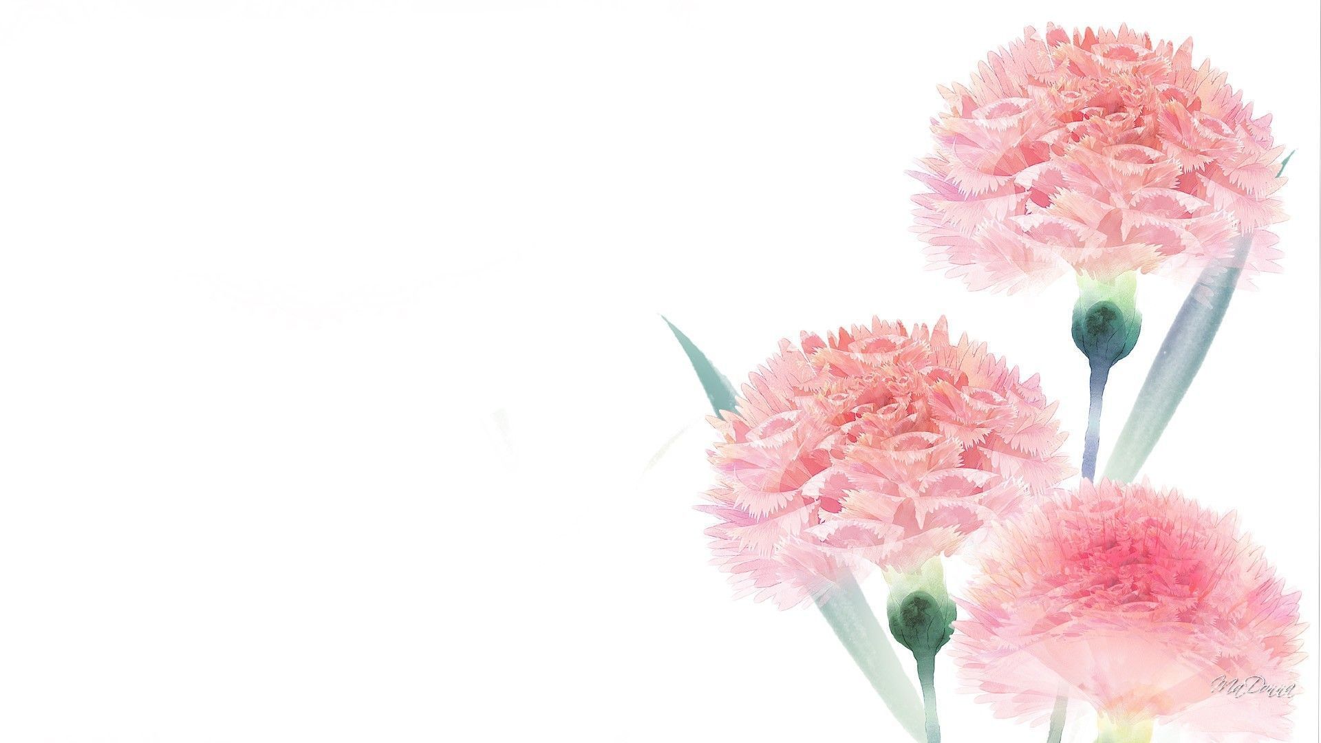 Minimalist Flower Computer Wallpapers