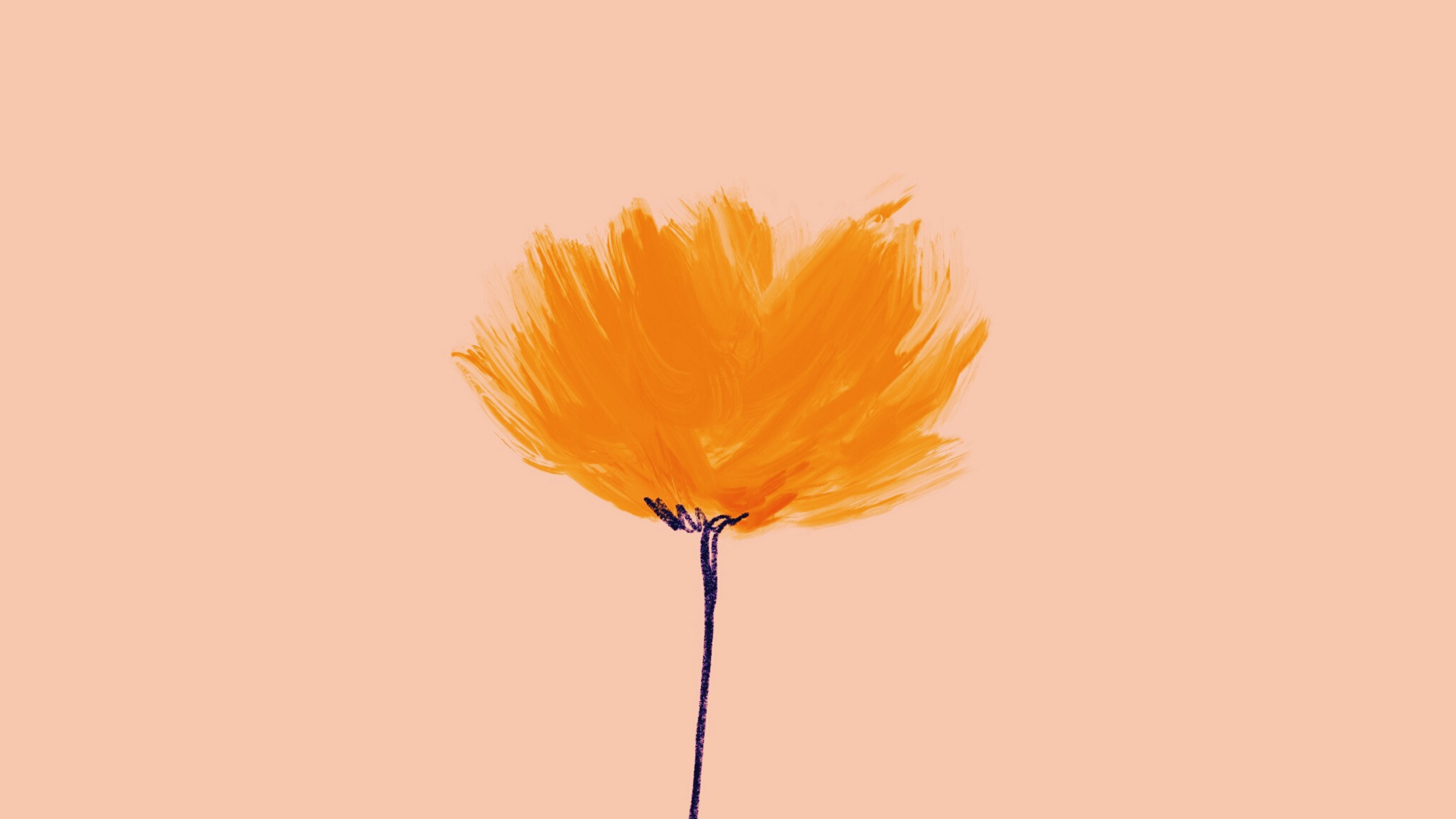 Minimalist Flower Computer Wallpapers