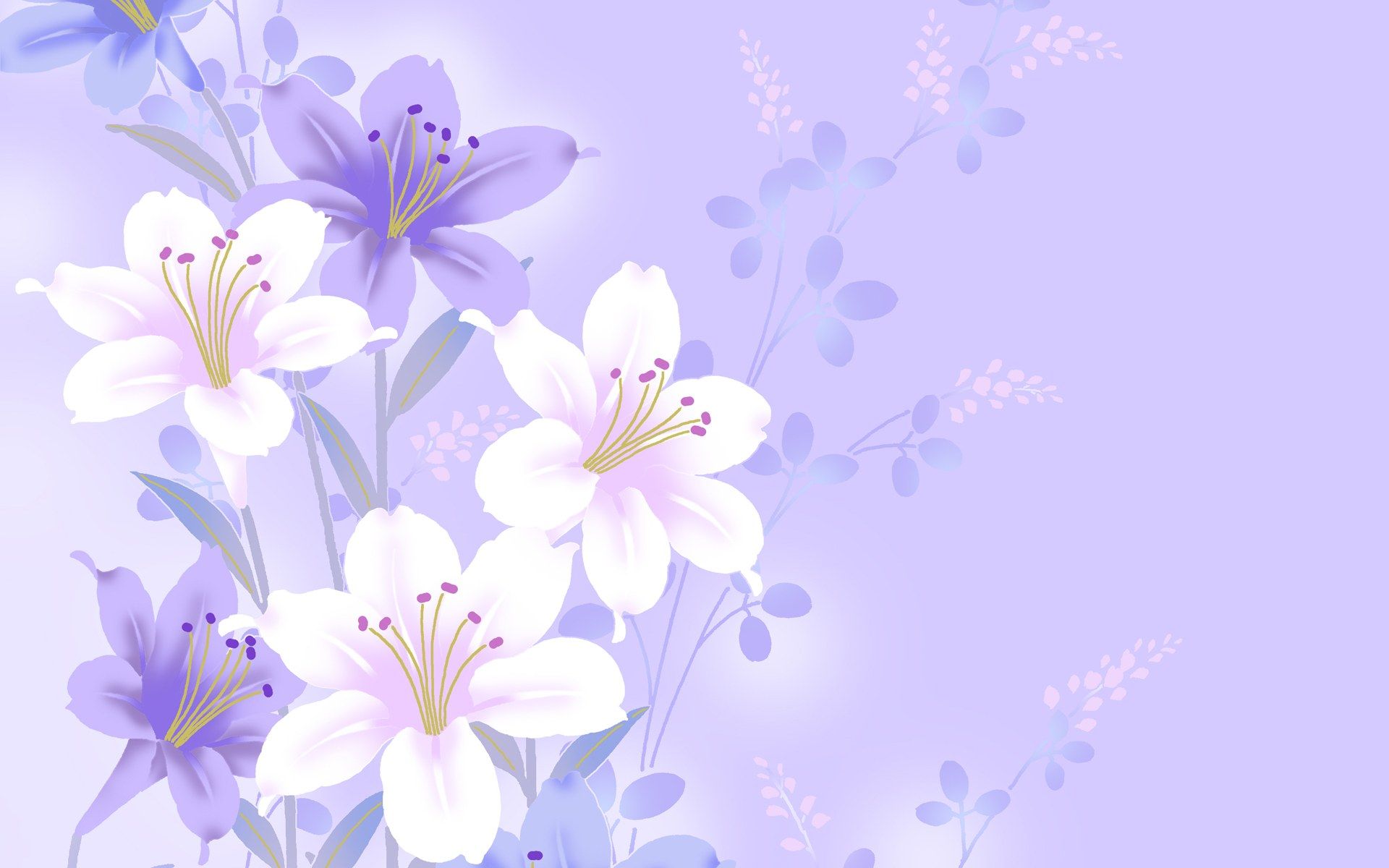 Minimalist Lavender Flowers Wallpapers