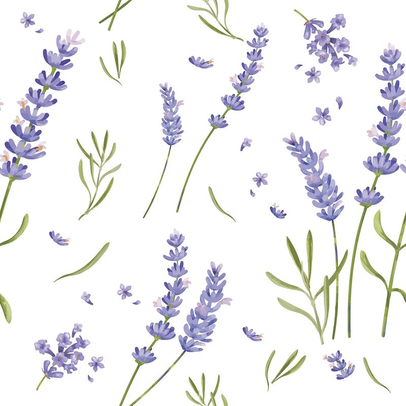 Minimalist Lavender Flowers Wallpapers