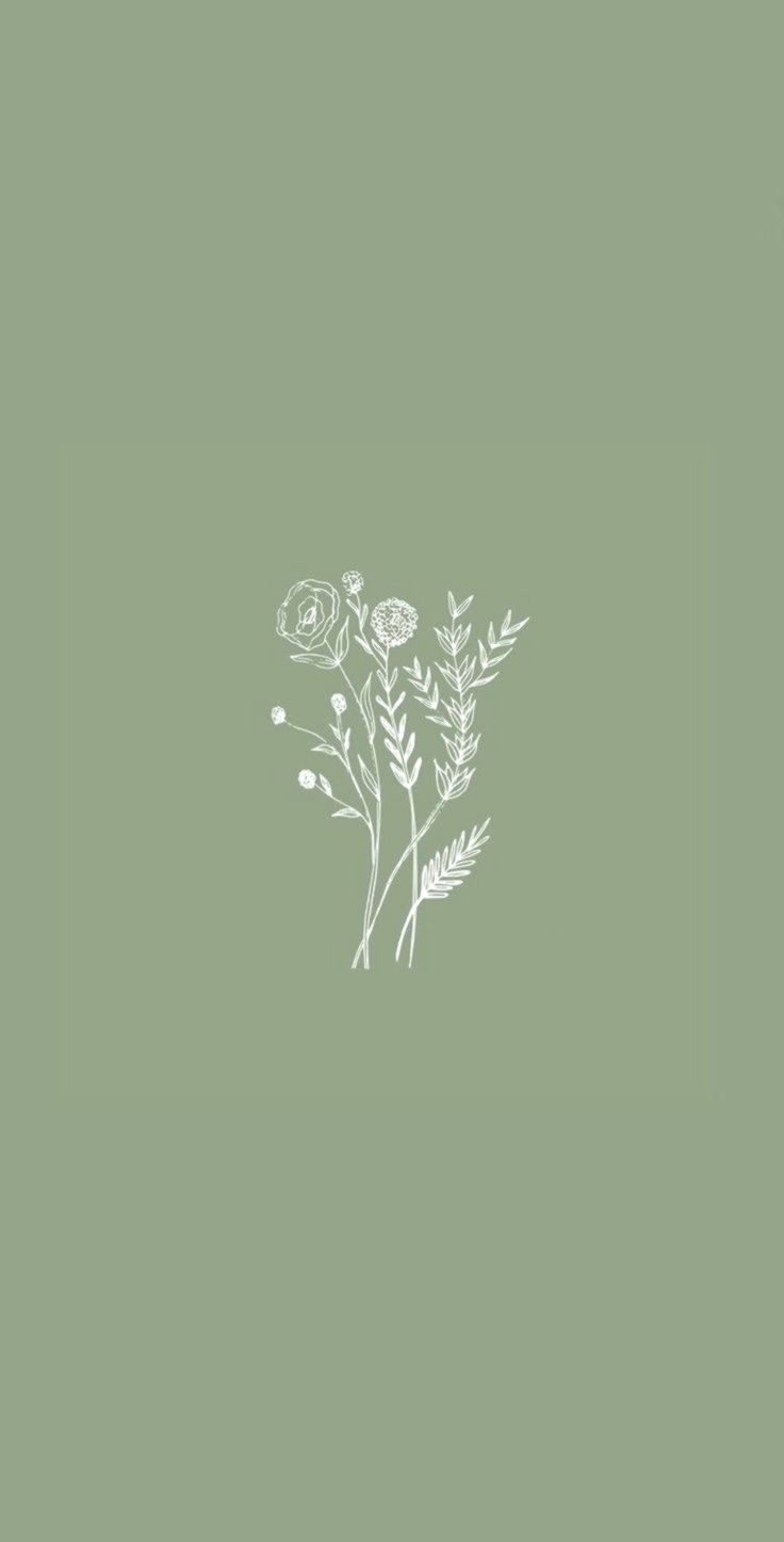 Minimalist Olive Wallpapers