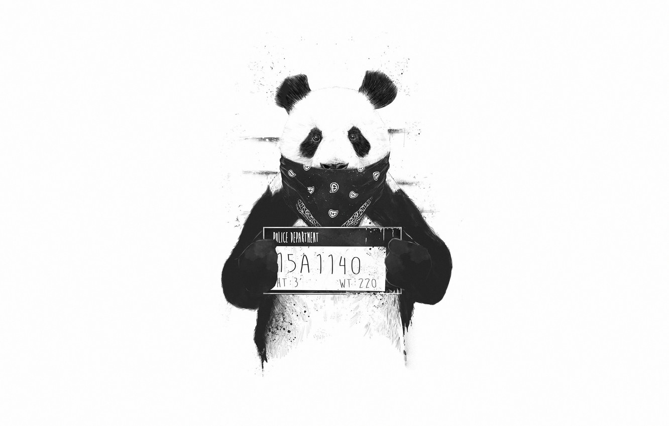 Minimalist Panda Wallpapers