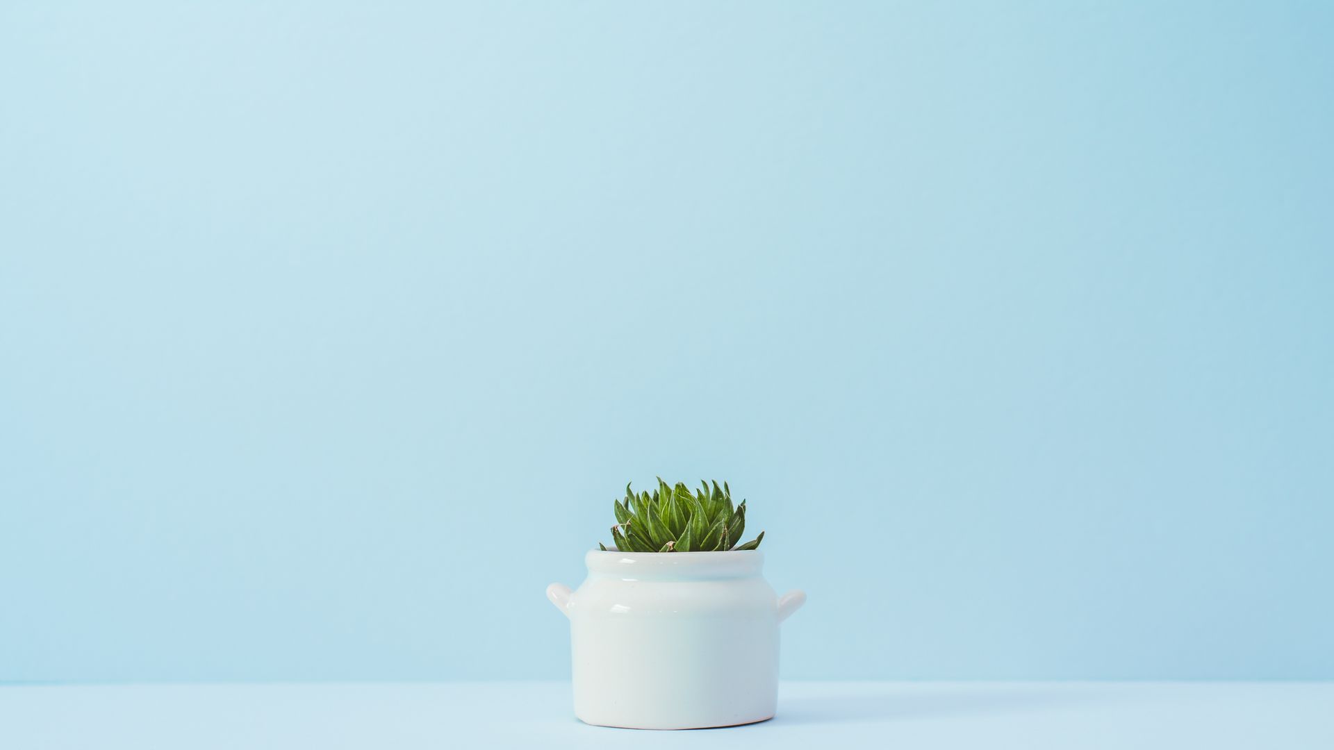 Minimalist Pastel Desktop Plant Wallpapers