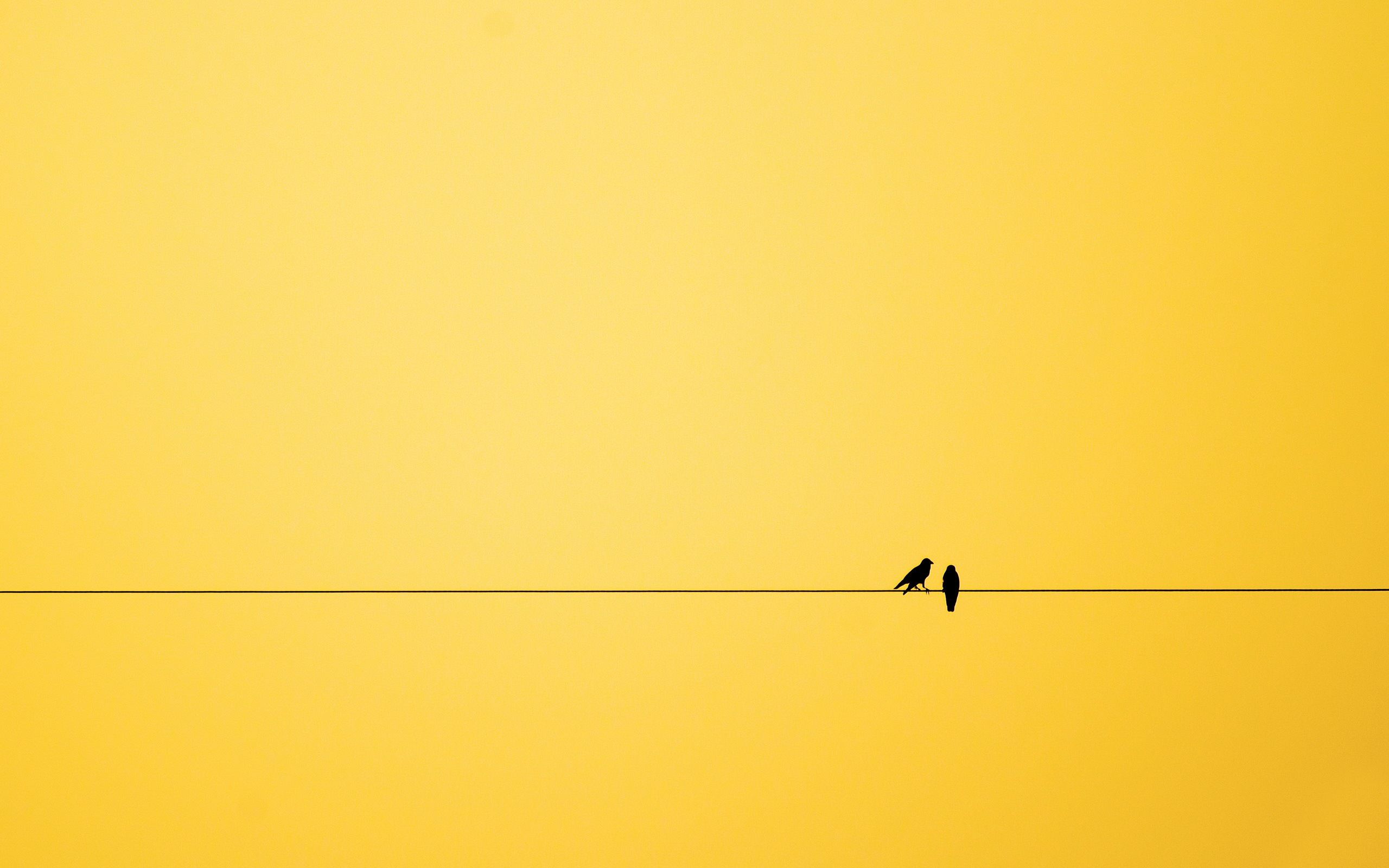 Minimalist Photography Wallpapers