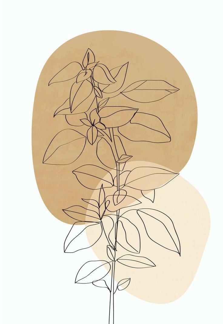 Minimalist Plant Drawing Wallpapers