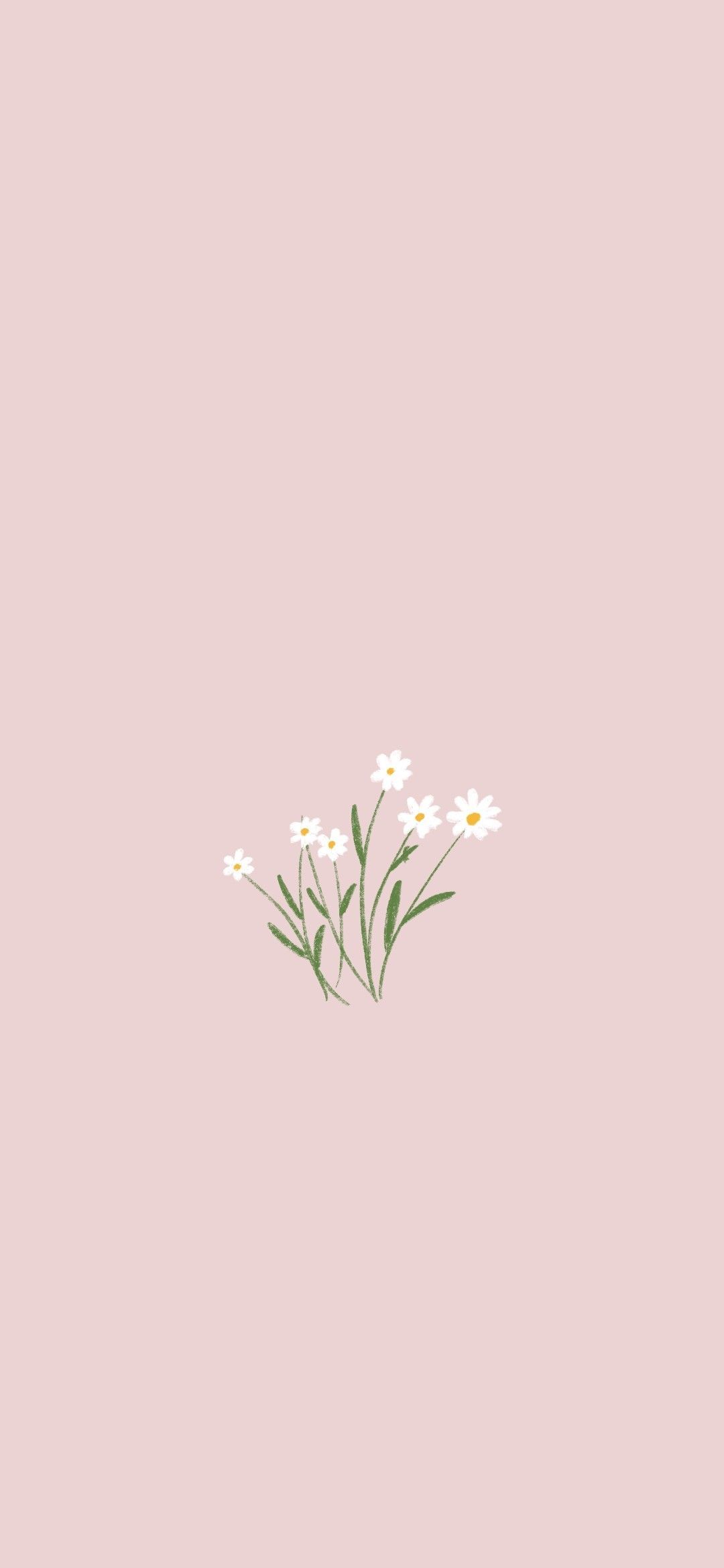 Minimalist Plant Drawing Wallpapers