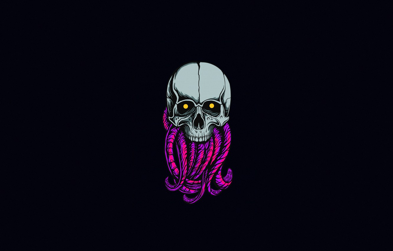 Minimalist Skull Wallpapers