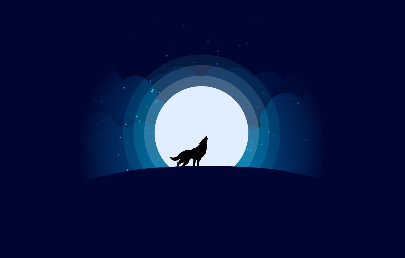 Minimalist Wolf Wallpapers