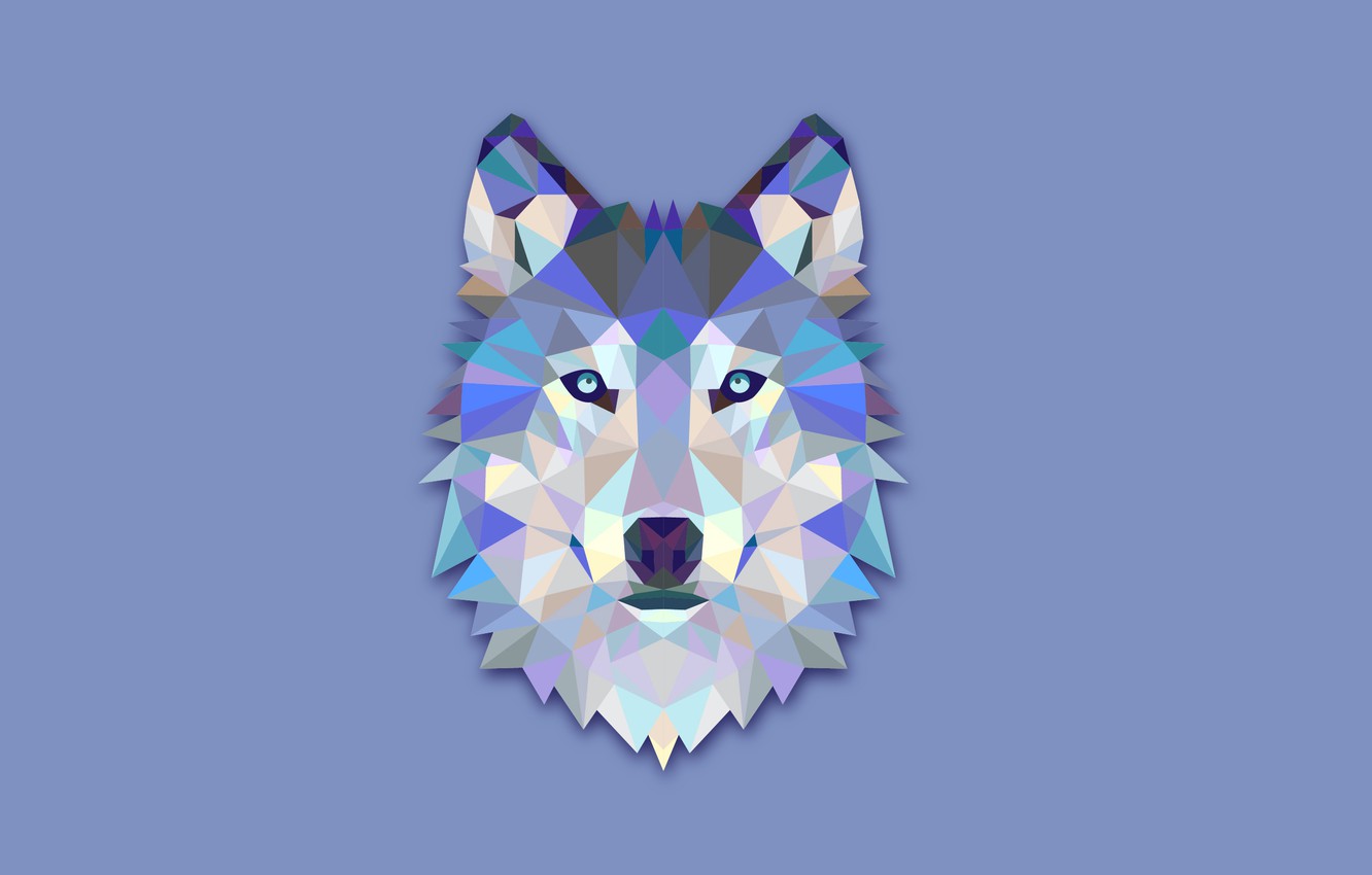 Minimalist Wolf Wallpapers