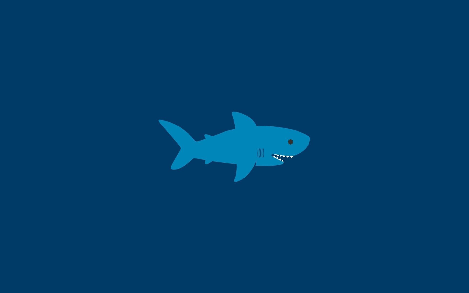 Shark Minimalism Art Wallpapers