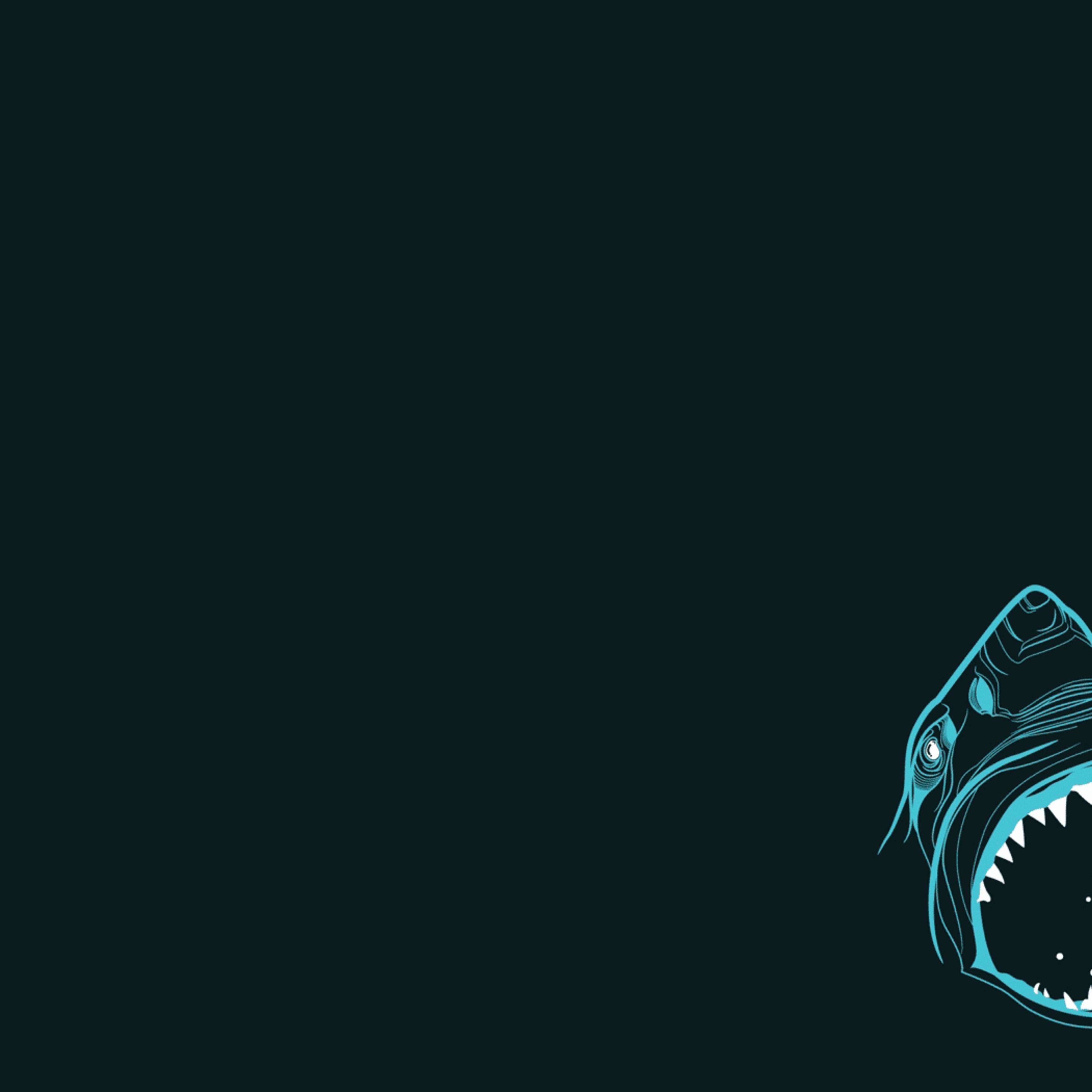 Shark Minimalism Art Wallpapers