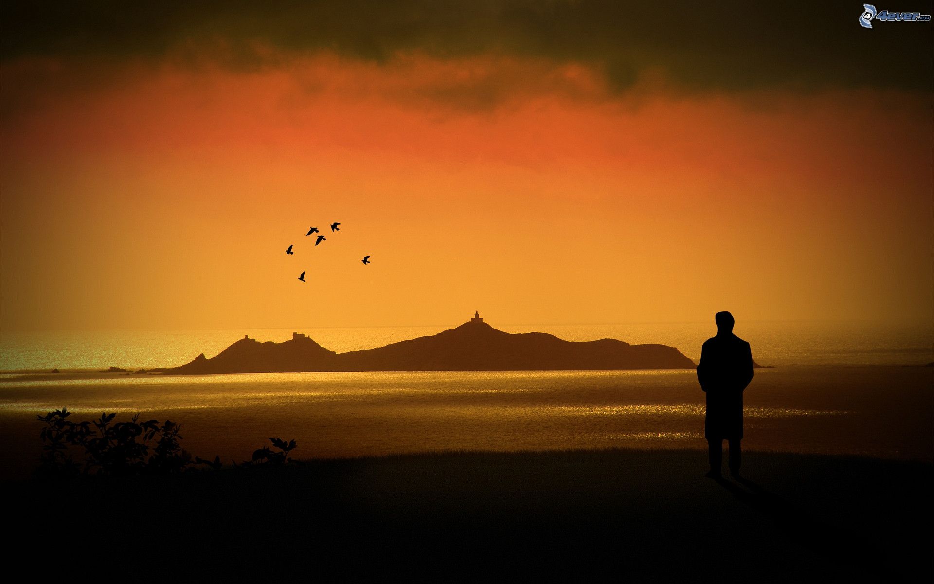 Silhouette Man And Birds Wallpapers