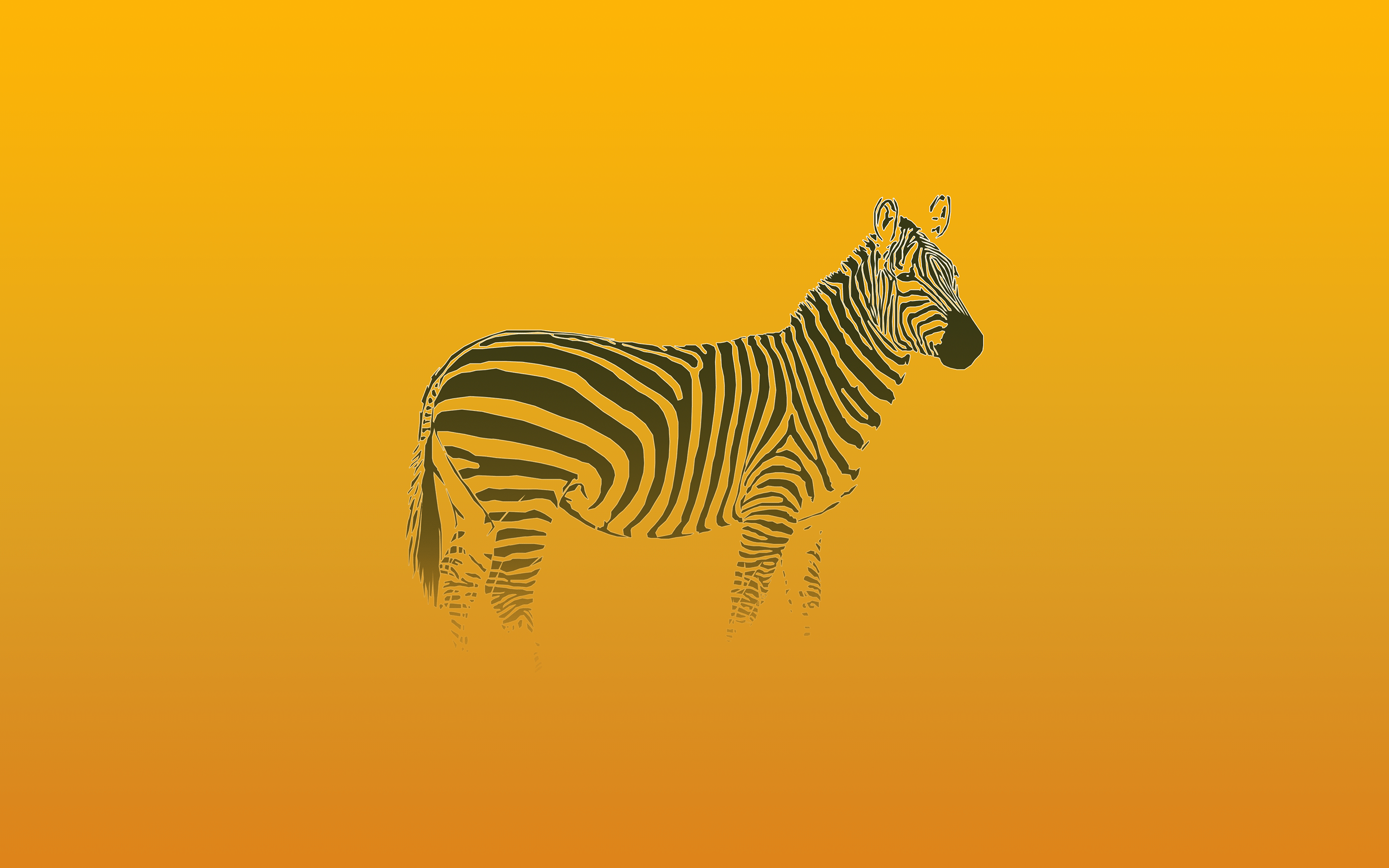 Zebra Minimalism Wallpapers