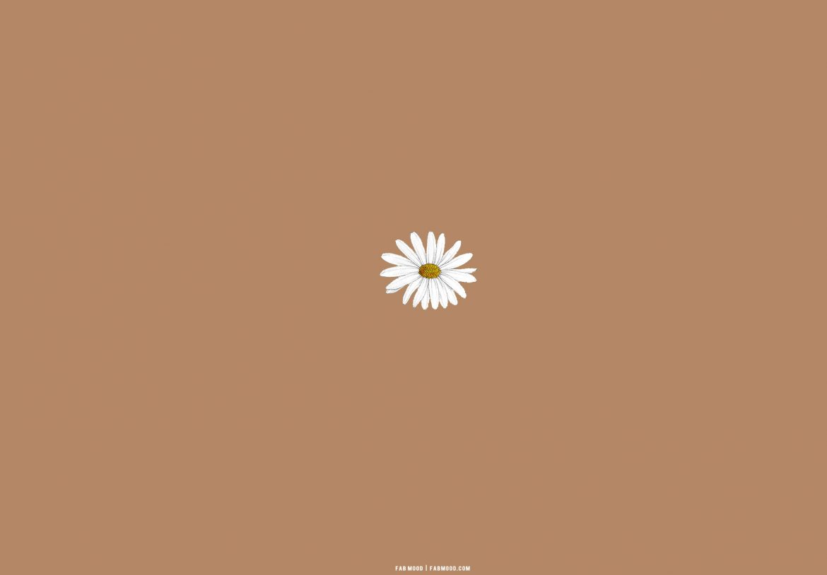 Minimalist Brown Aesthetic Wallpapers