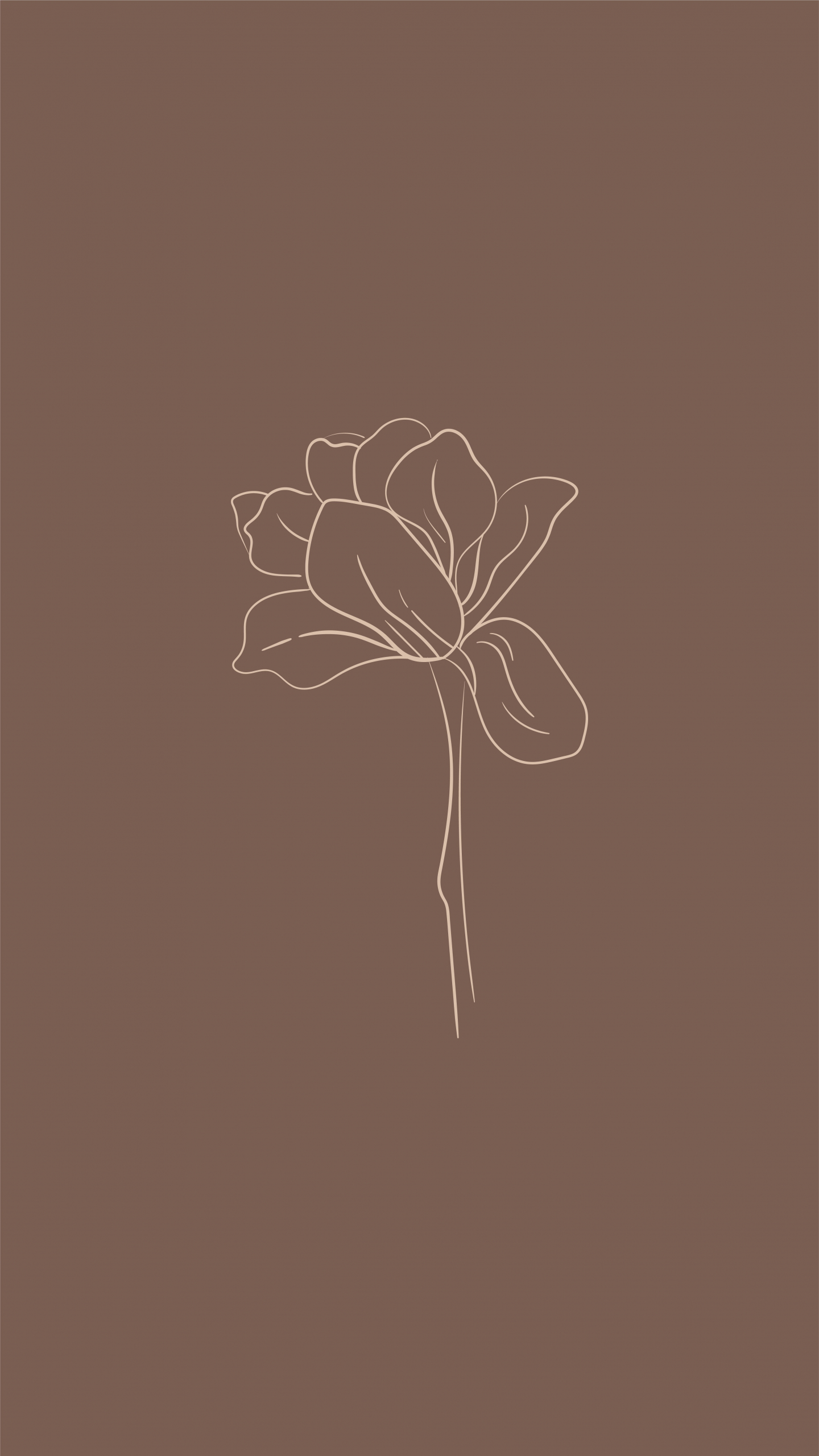 Minimalist Brown Aesthetic Wallpapers