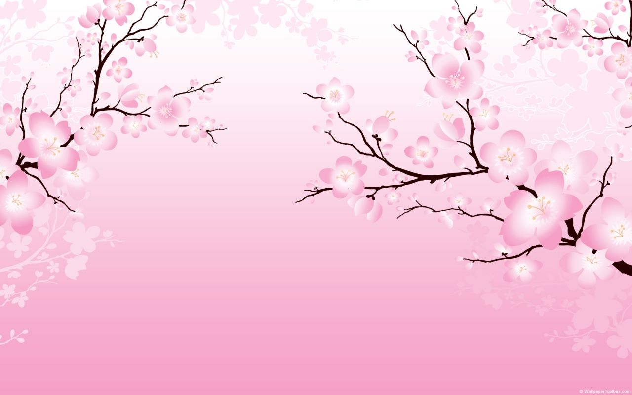 Minimalist Cherry Blossom Wallpapers