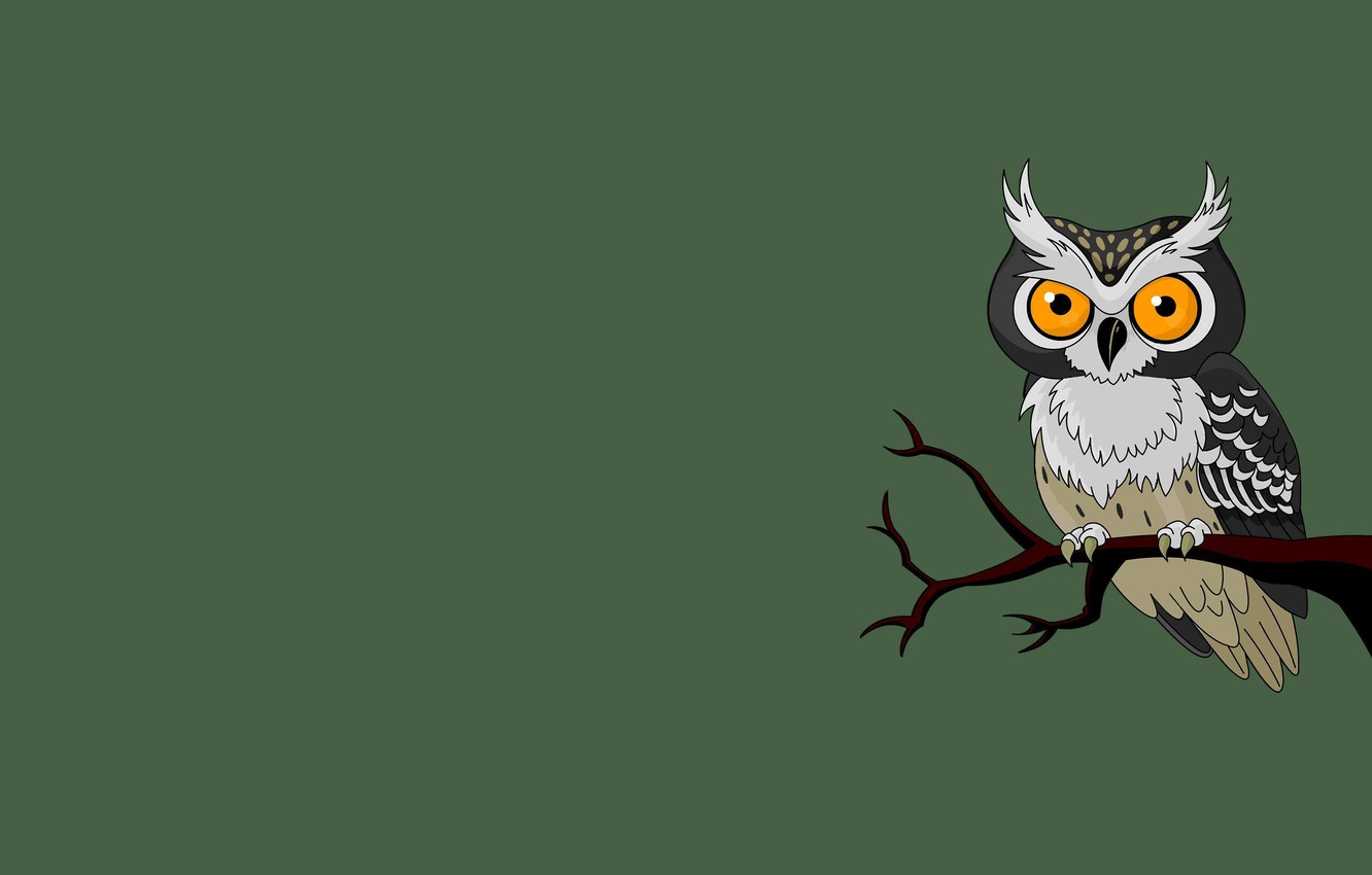 Minimalist Owl Wallpapers