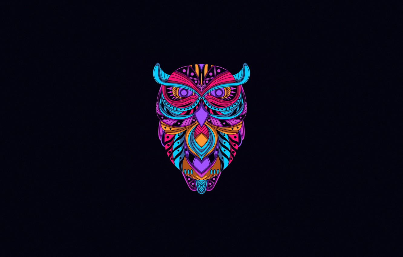 Minimalist Owl Wallpapers