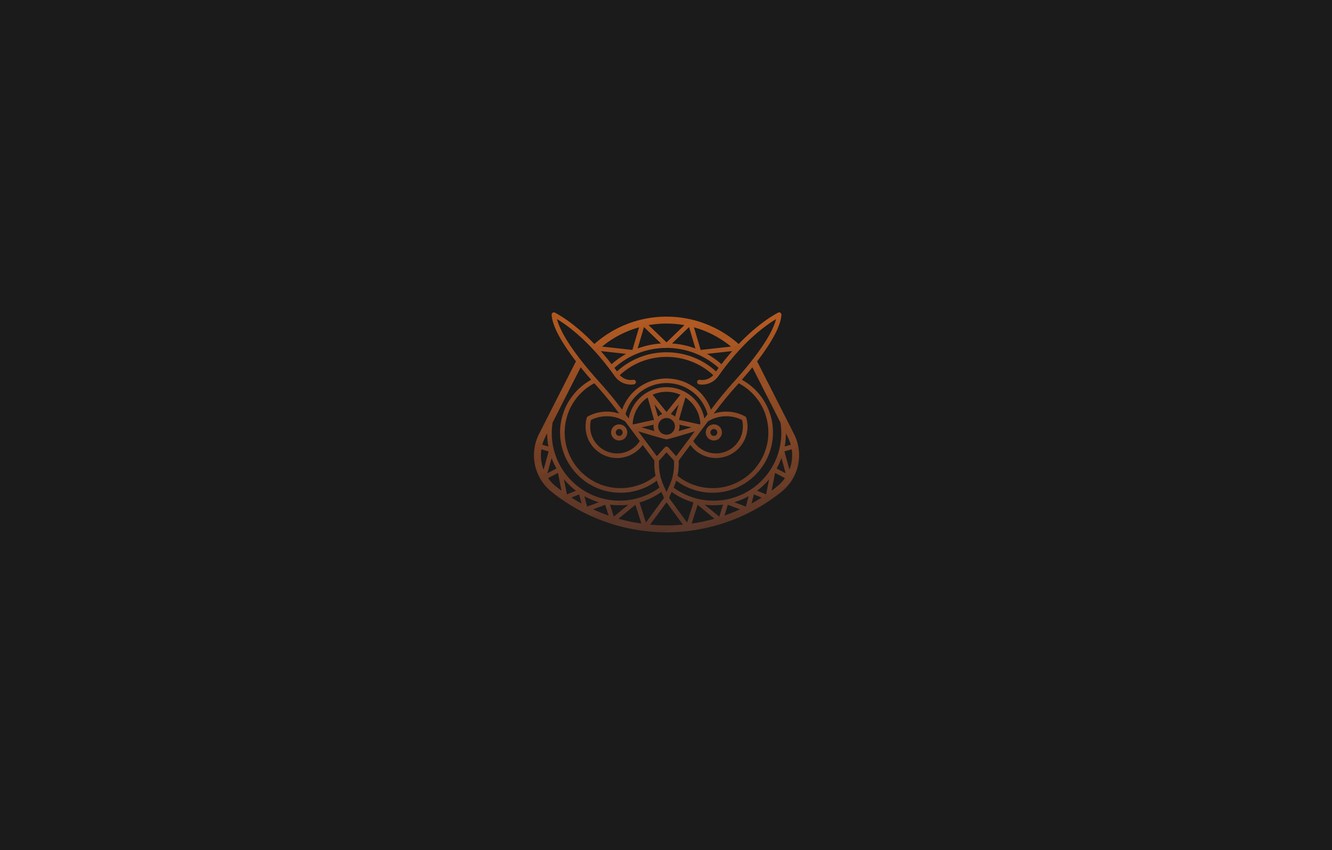 Minimalist Owl Wallpapers