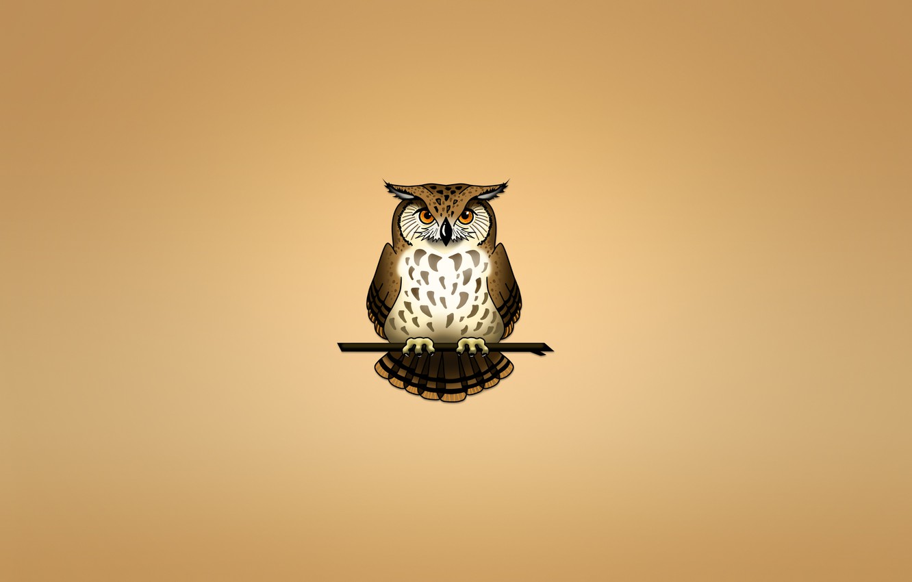 Minimalist Owl Wallpapers