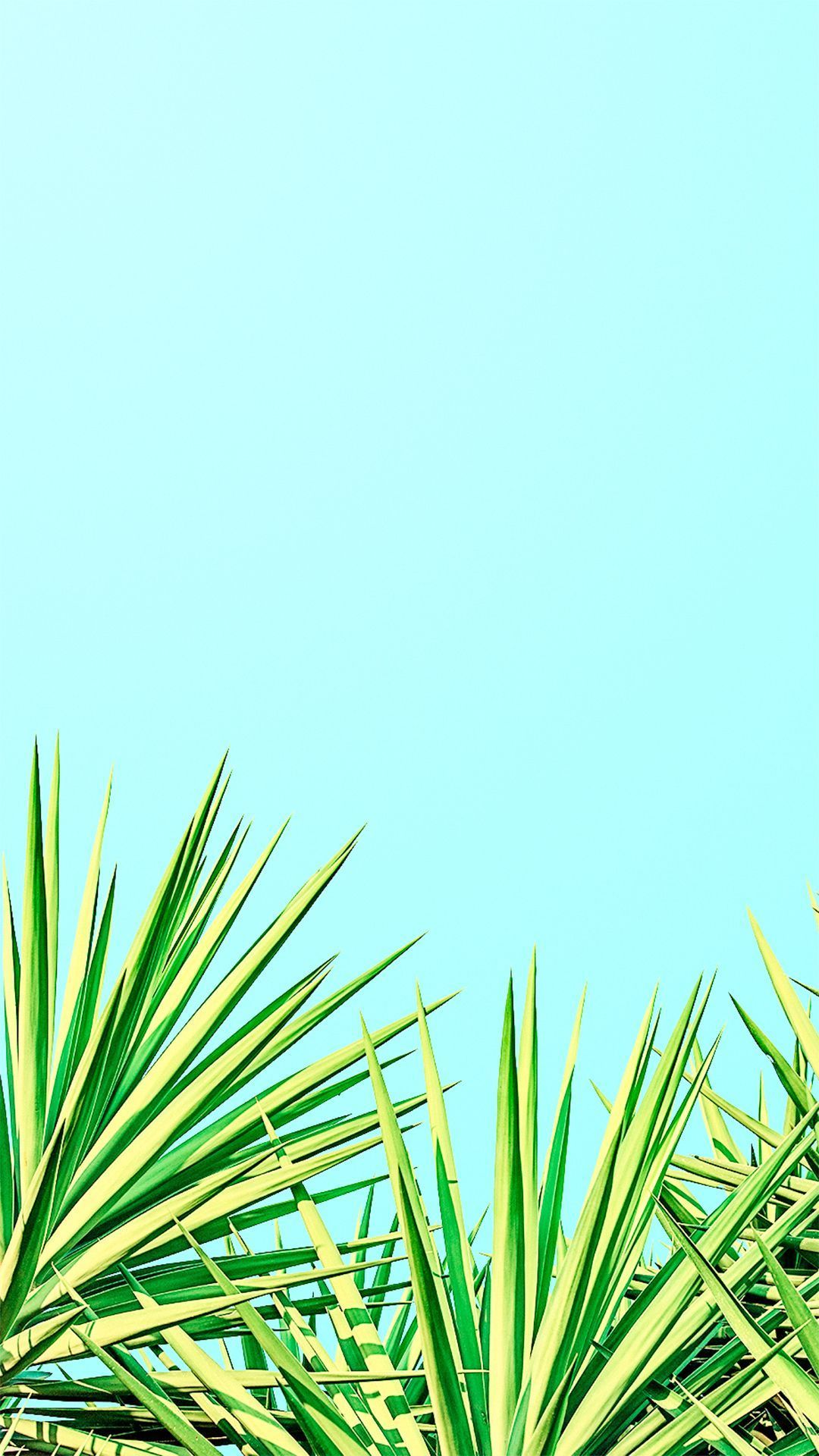 Minimalist Summer Wallpapers