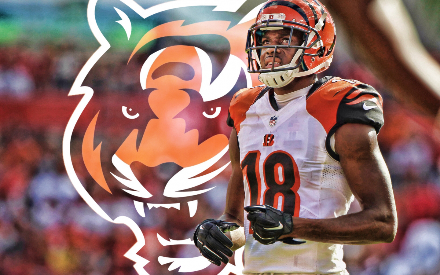 A.J. Green Wallpapers