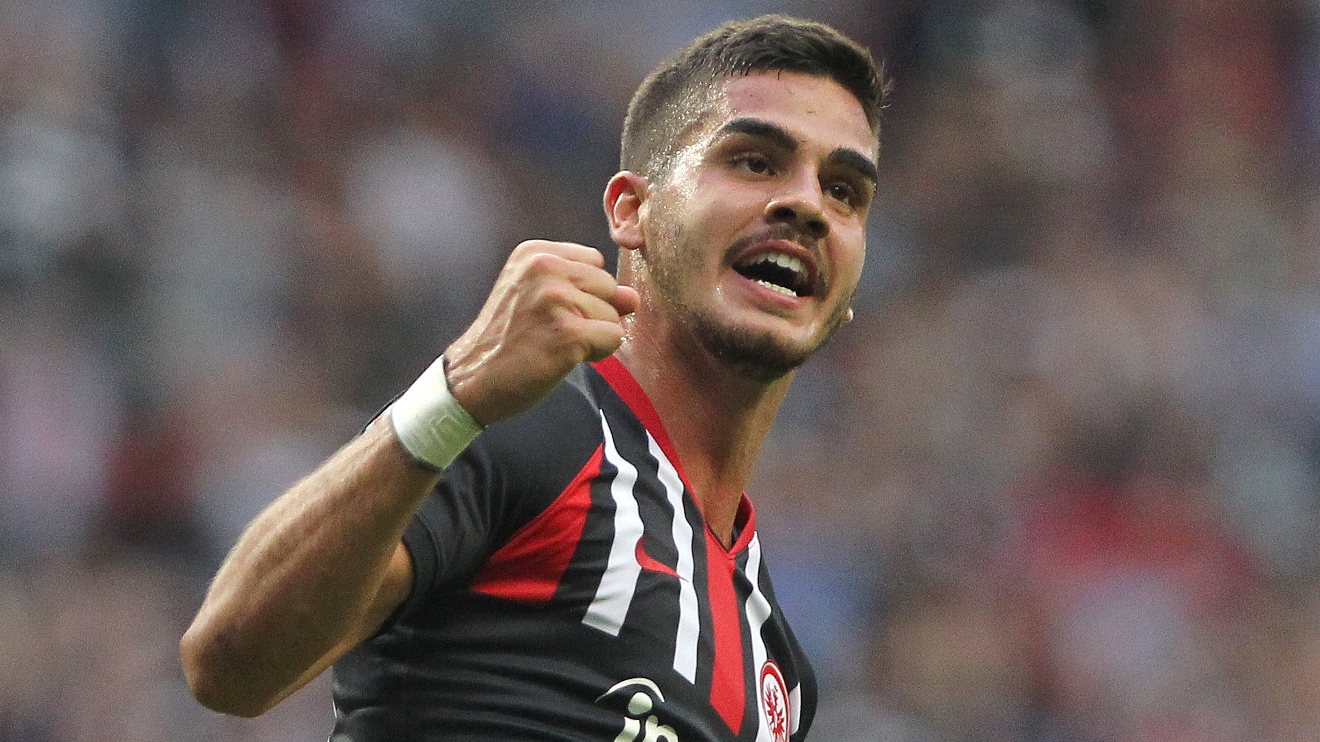 Andre Silva Wallpapers