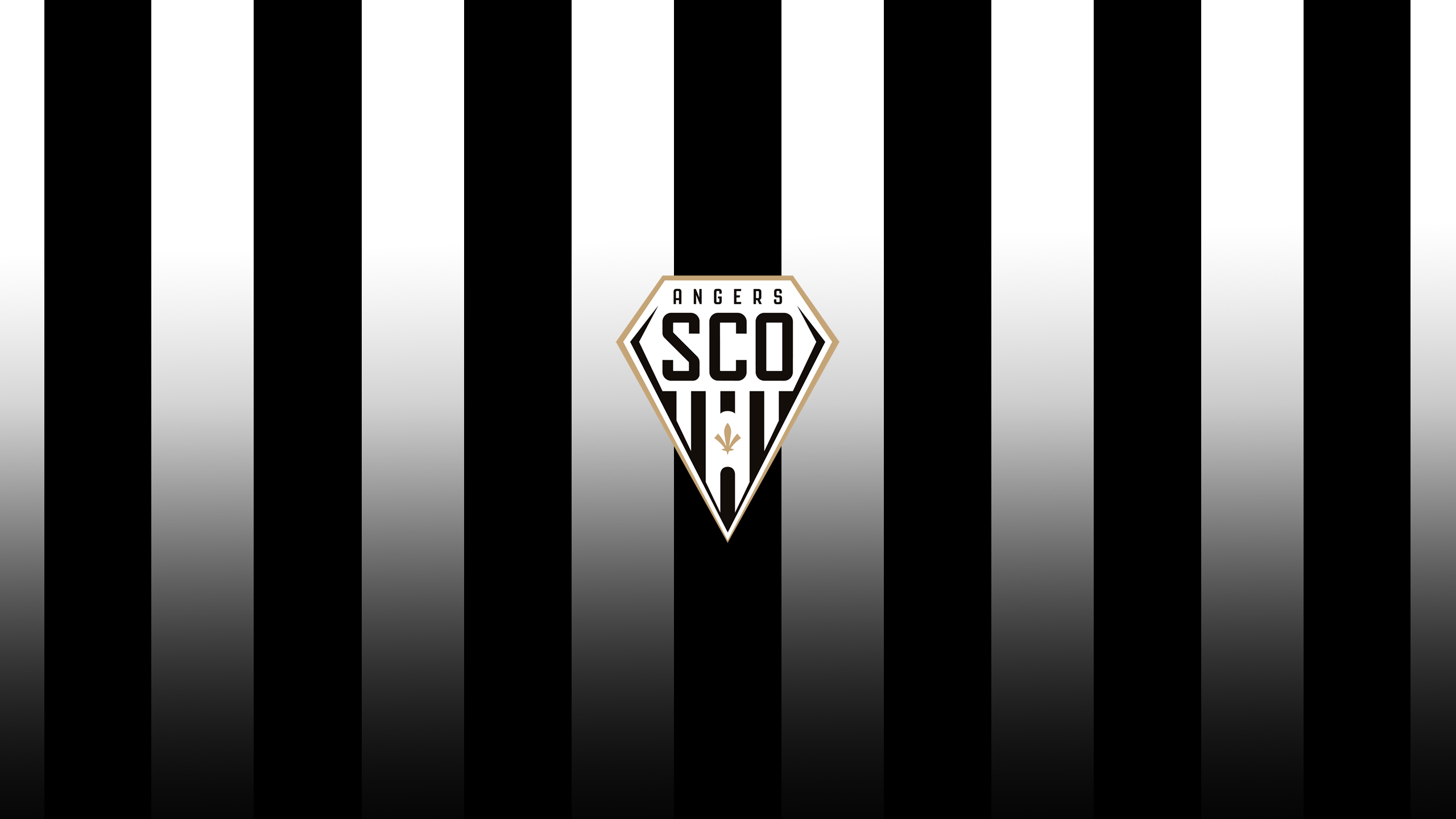 Angers Sco Wallpapers