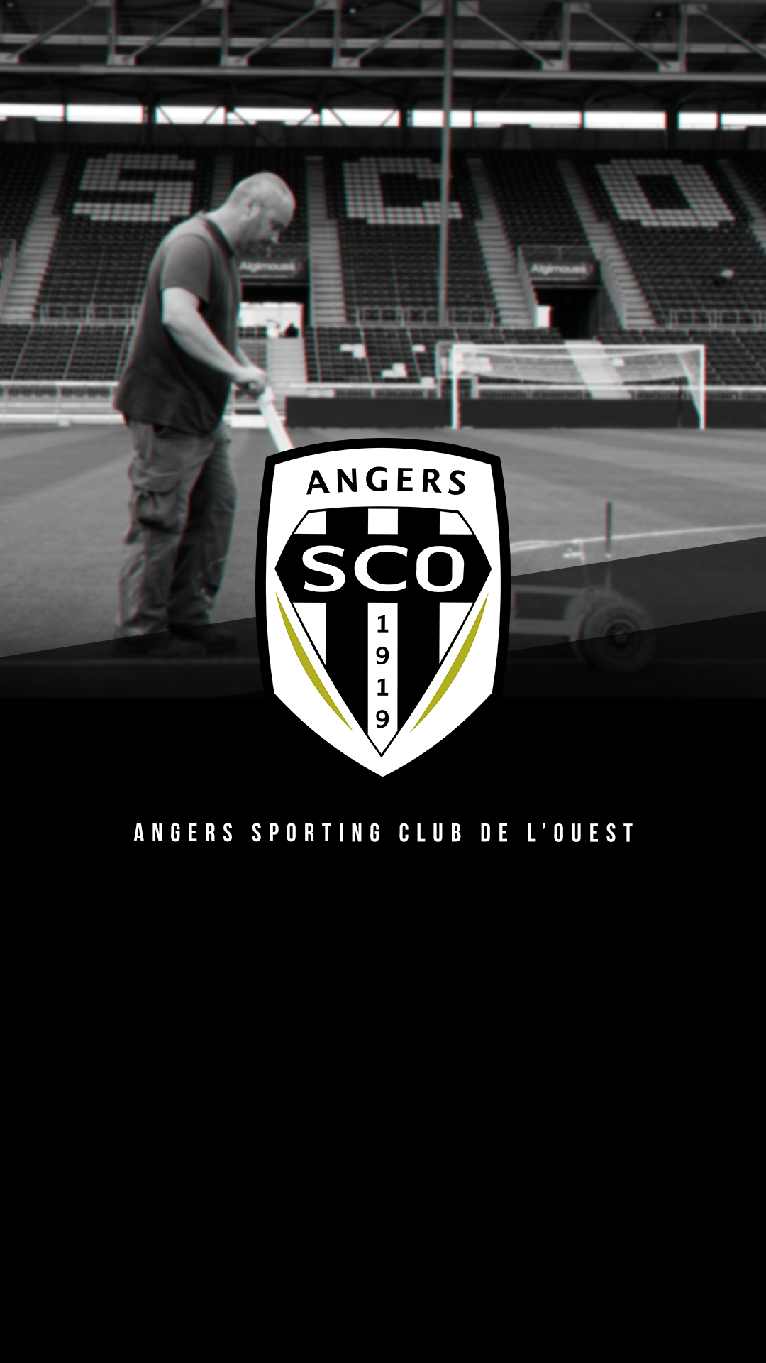 Angers Sco Wallpapers