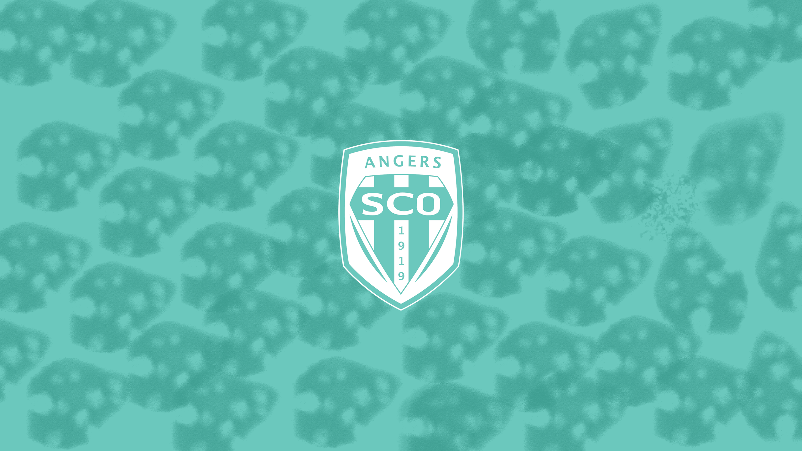 Angers Sco Wallpapers