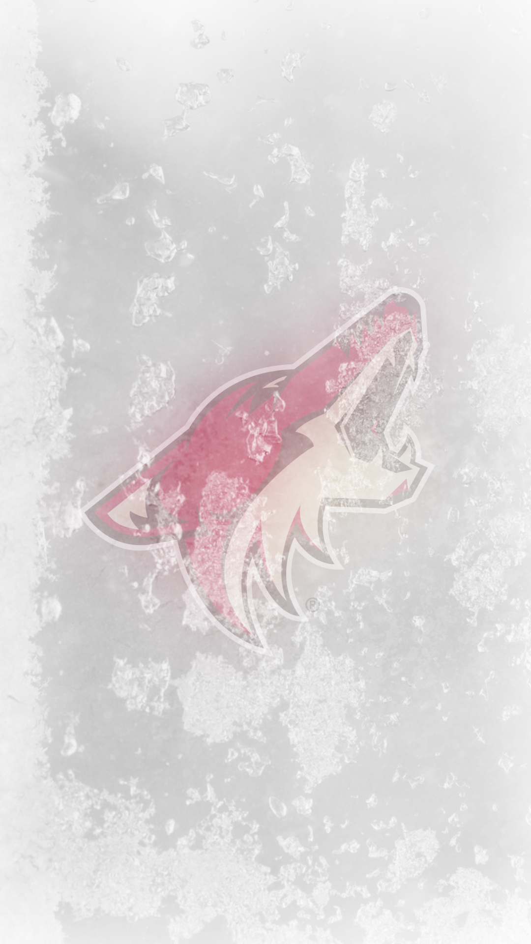 Arizona Coyotes Wallpapers