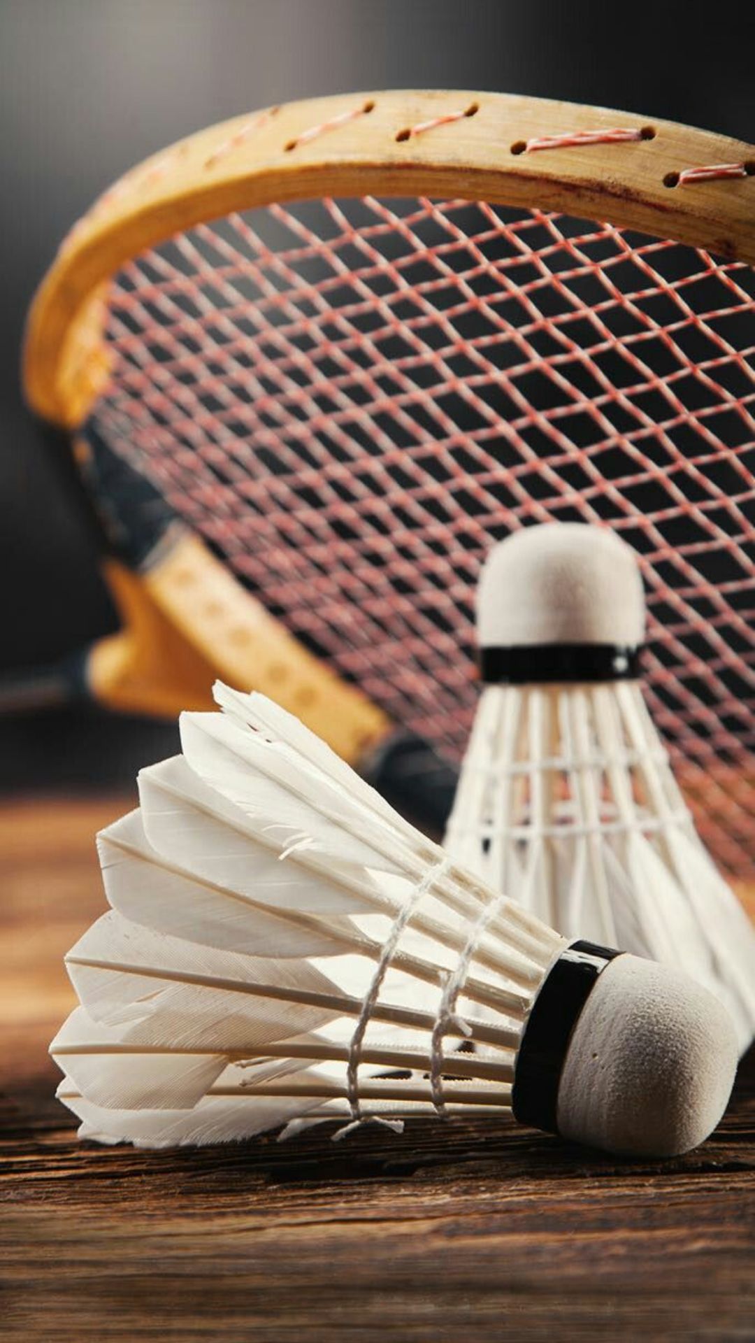 Badminton Wallpapers