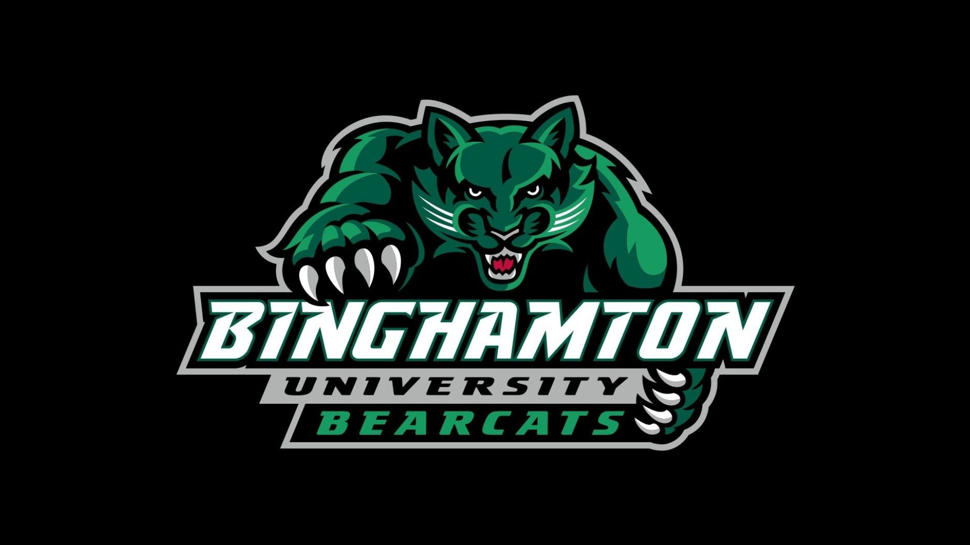 Binghamton University Bearcats Wallpapers