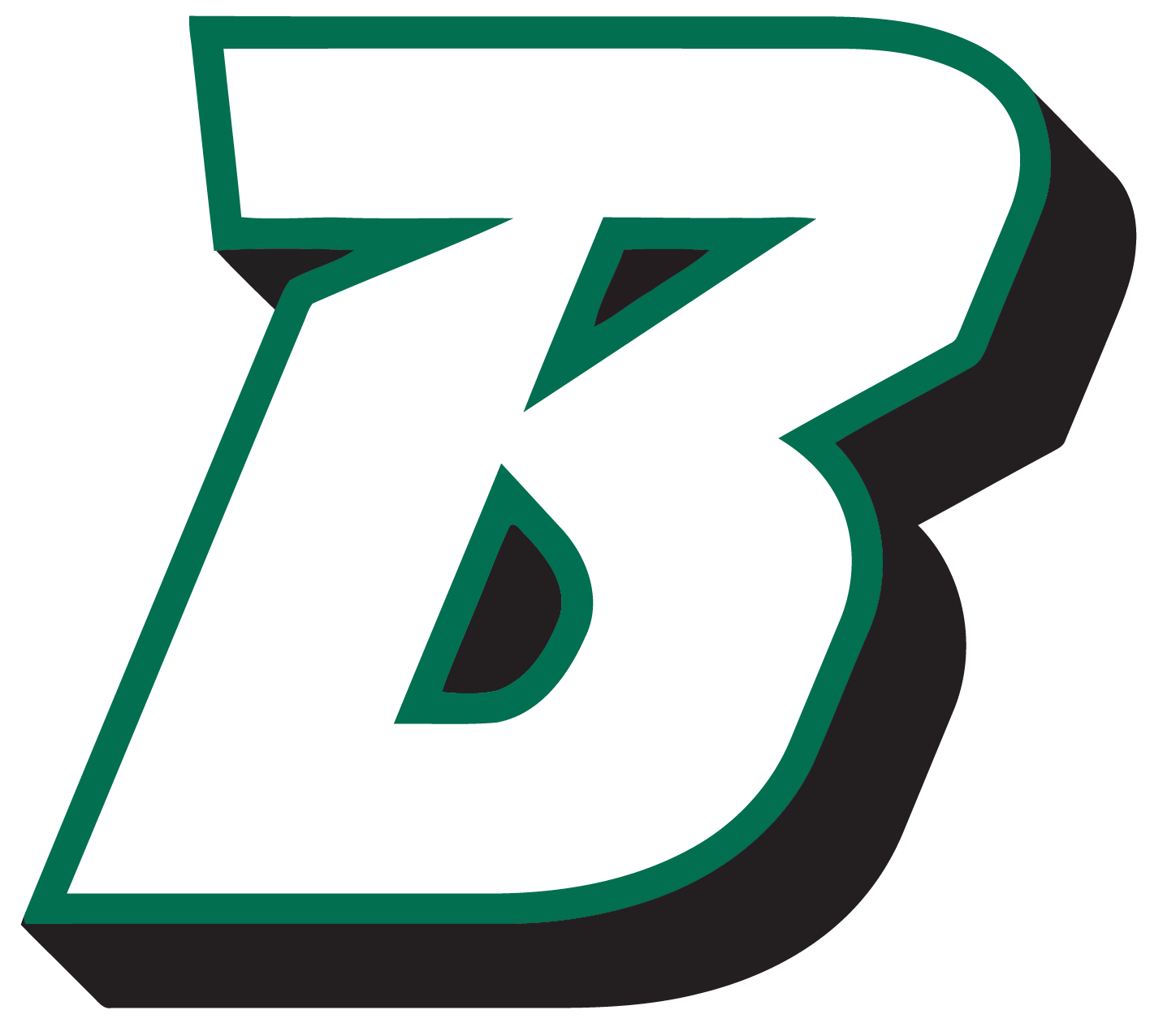 Binghamton University Bearcats Wallpapers