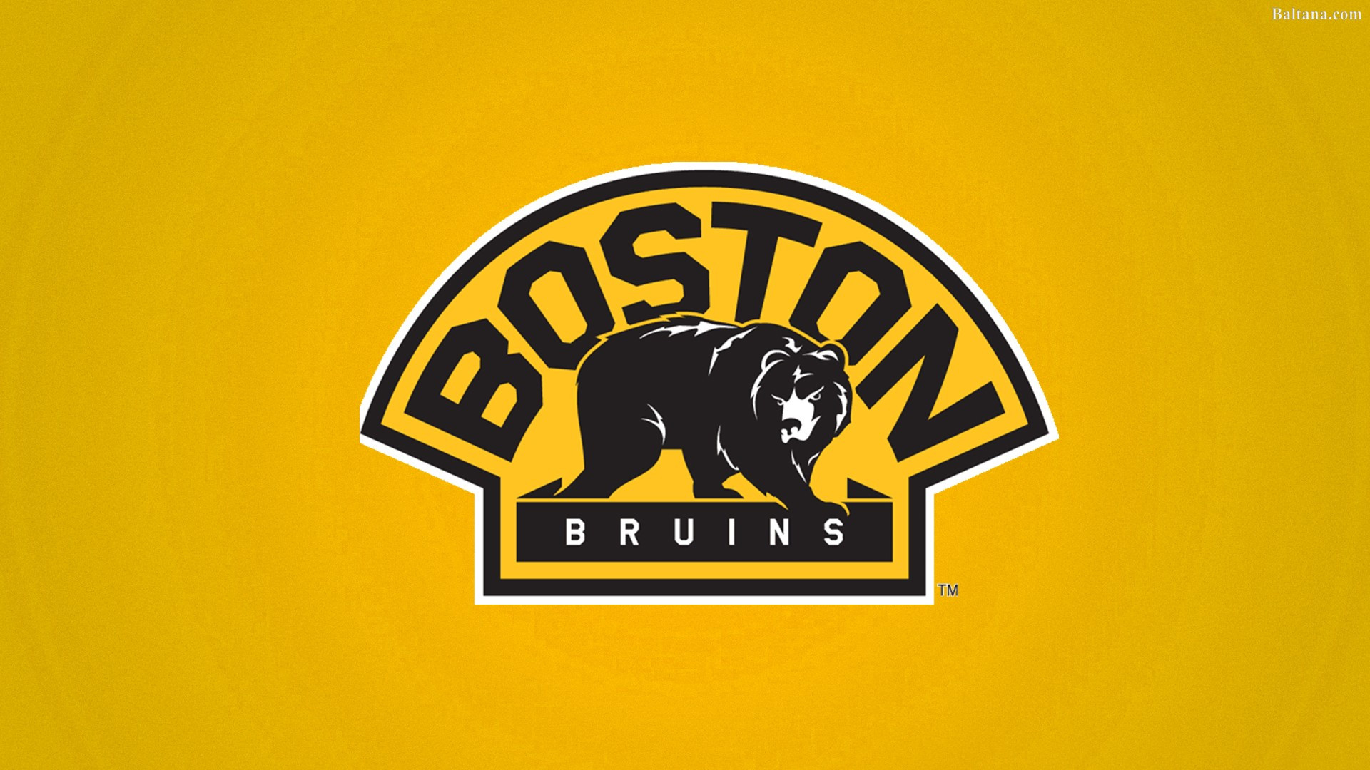 Boston Bruins Wallpapers