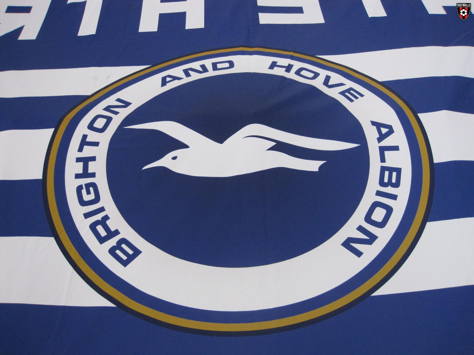 Brighton & Hove Albion F.C. Wallpapers