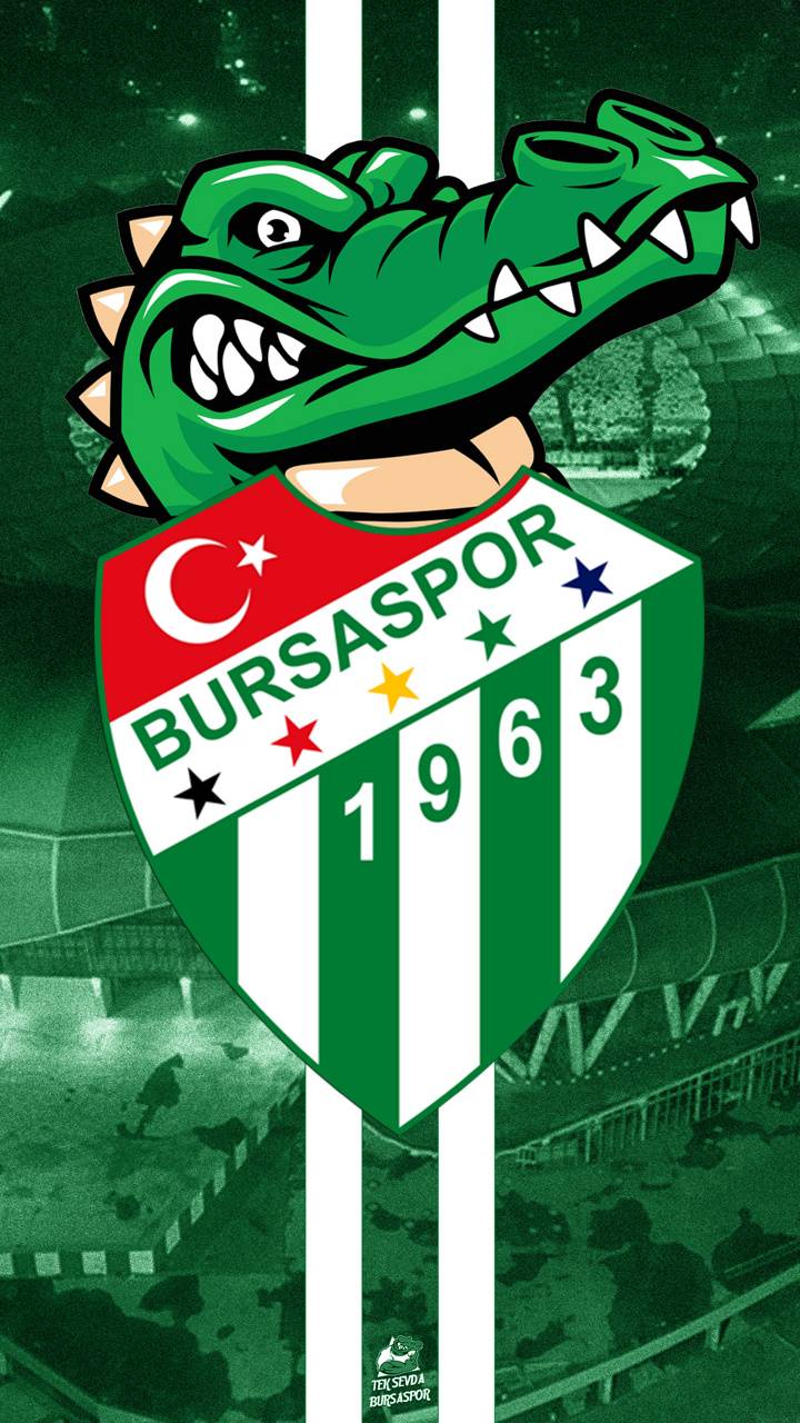 Bursaspor Wallpapers