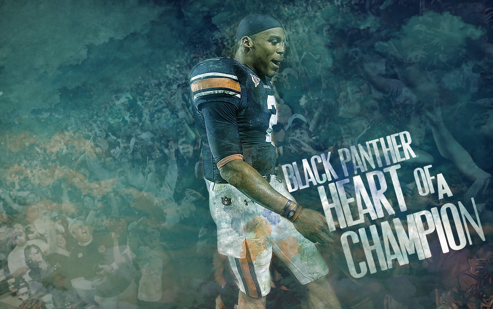 Cam Newton Wallpapers