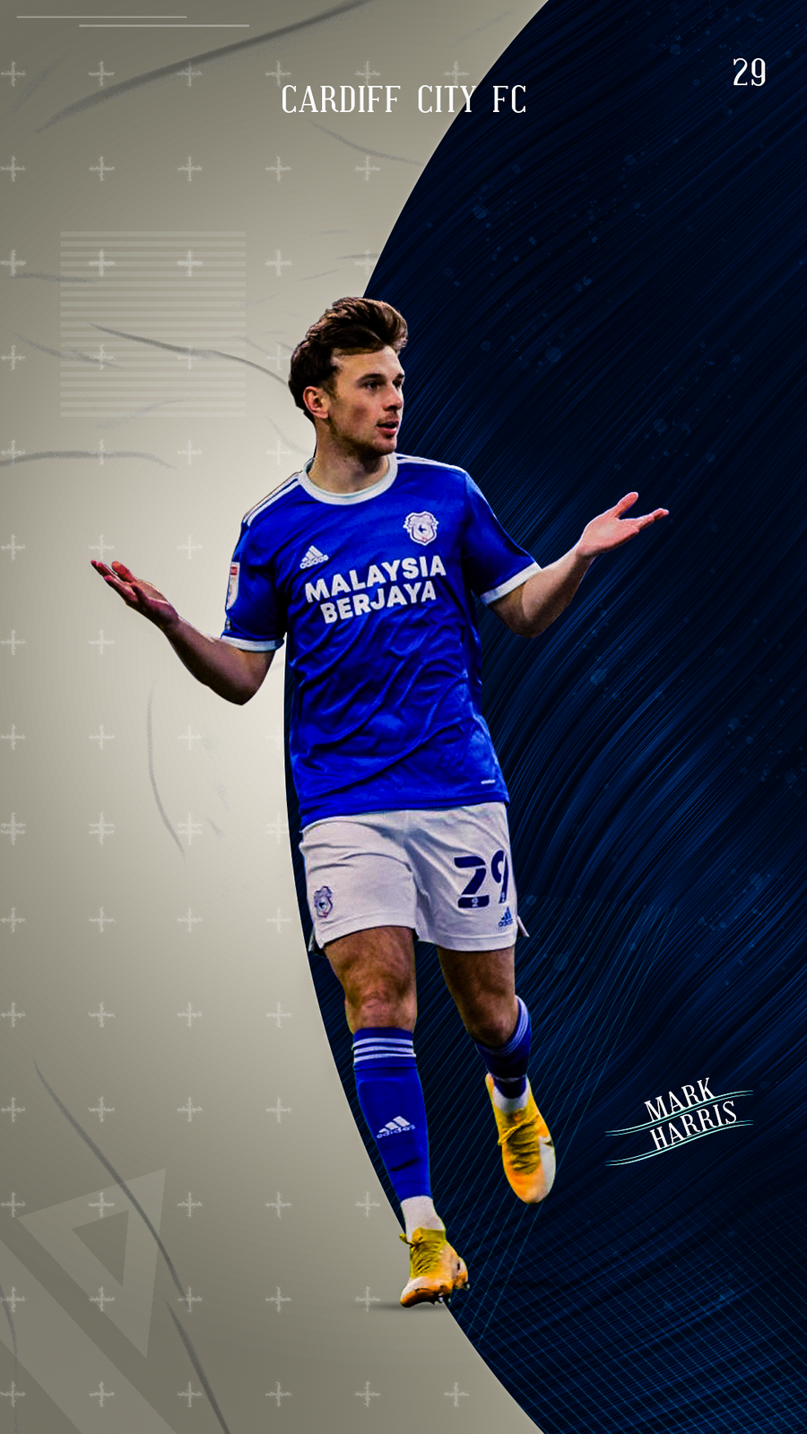 Cardiff City F.C. Wallpapers