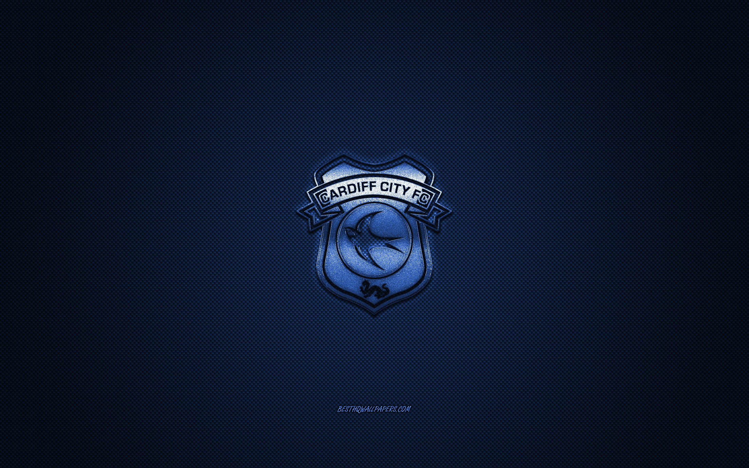 Cardiff City F.C. Wallpapers