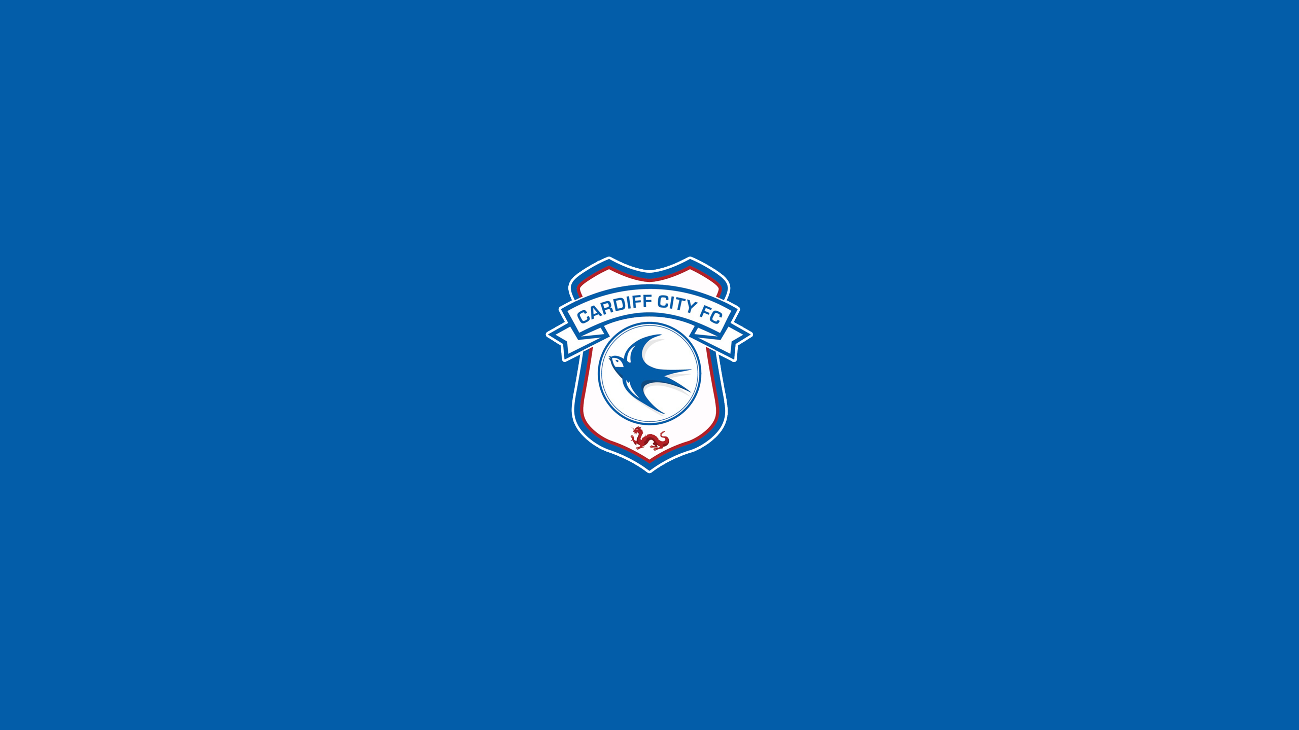 Cardiff City F.C. Wallpapers