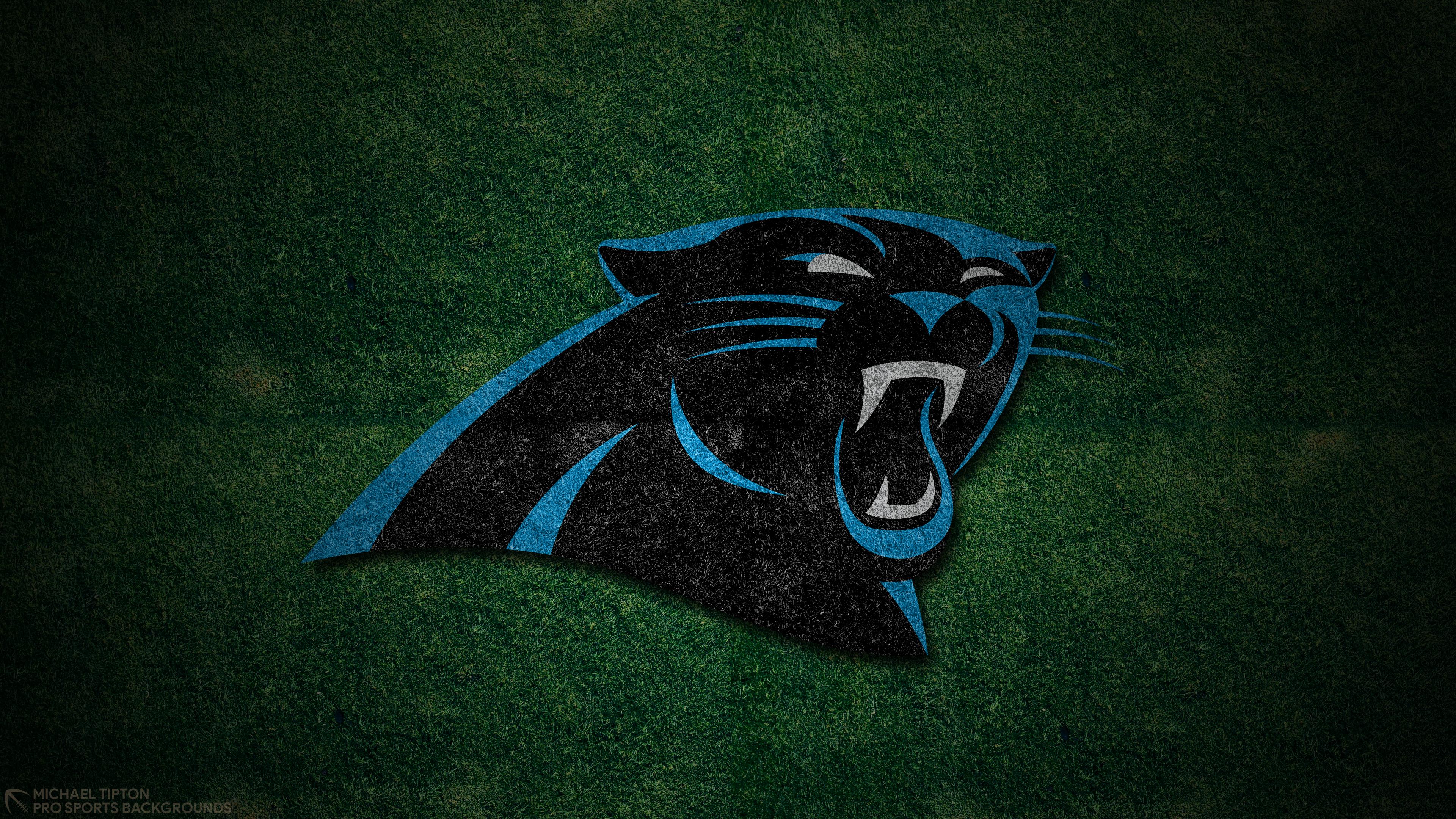 Carolina Panthers Wallpapers