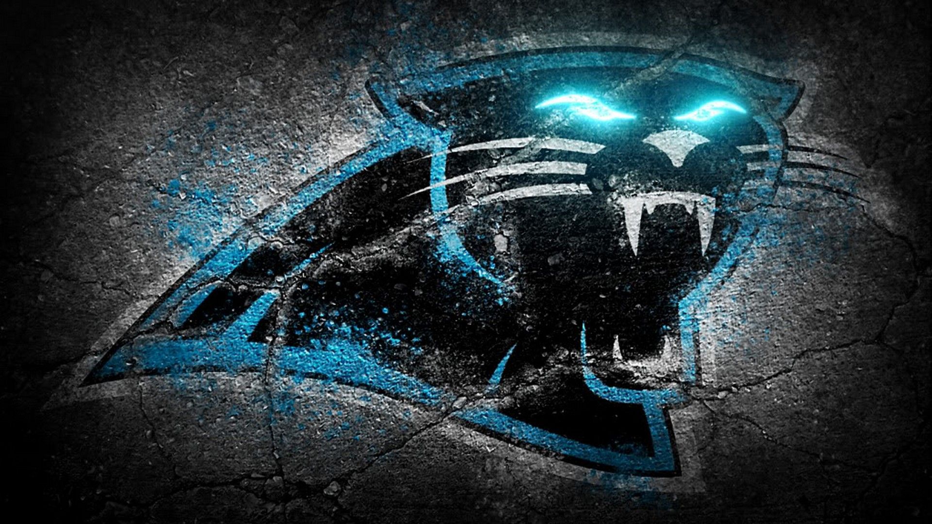 Carolina Panthers Wallpapers