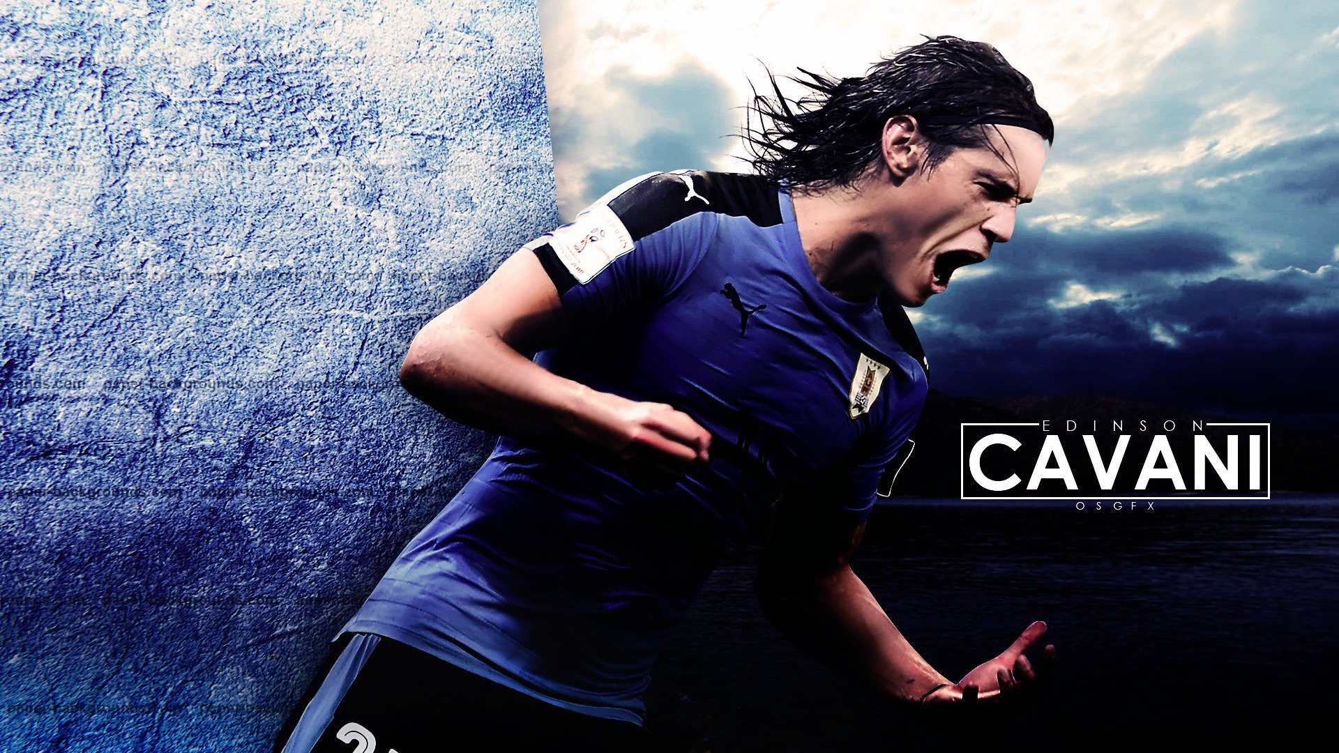 Cavani Wallpapers