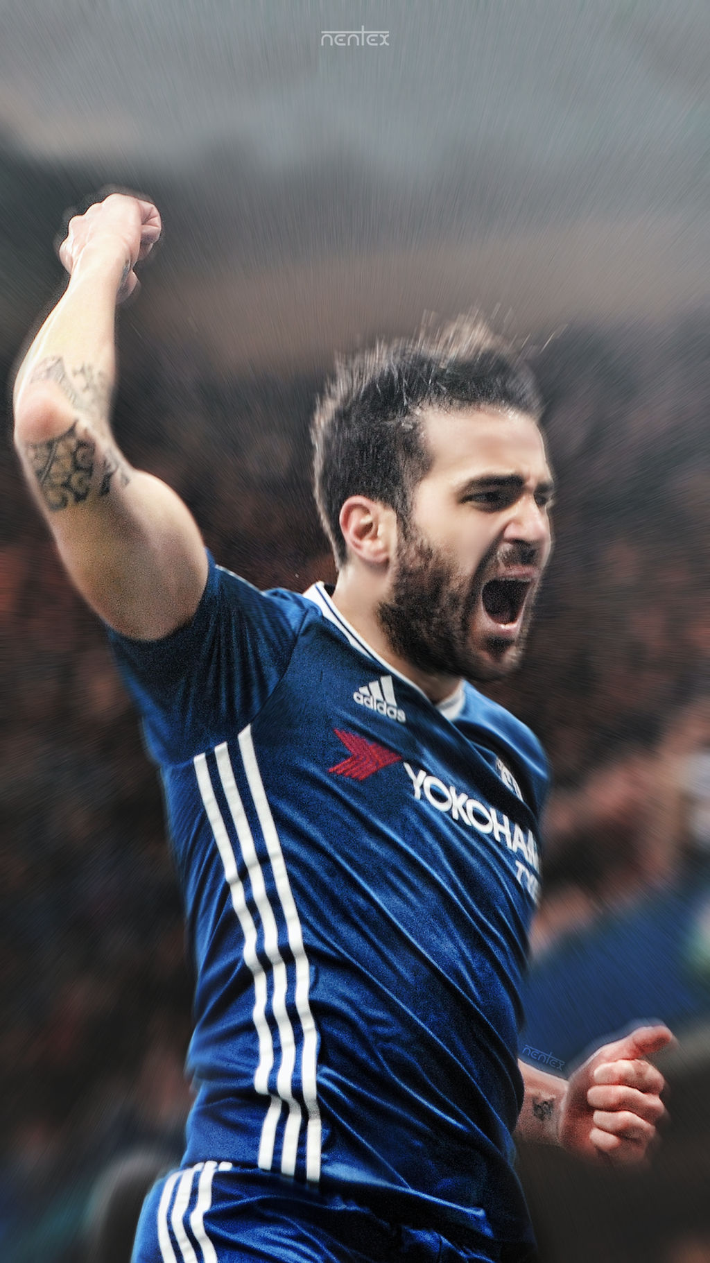 Cesc Fabregas Wallpapers