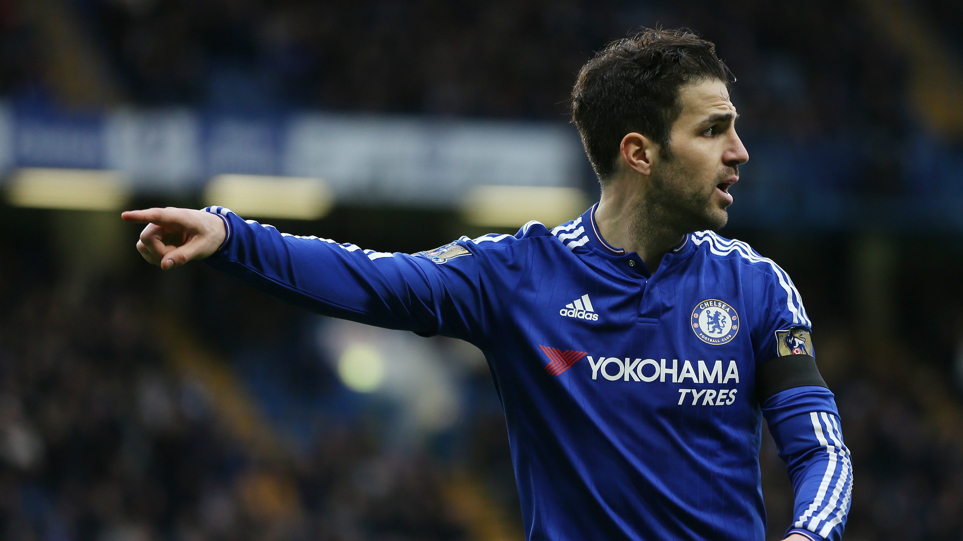 Cesc Fabregas Wallpapers