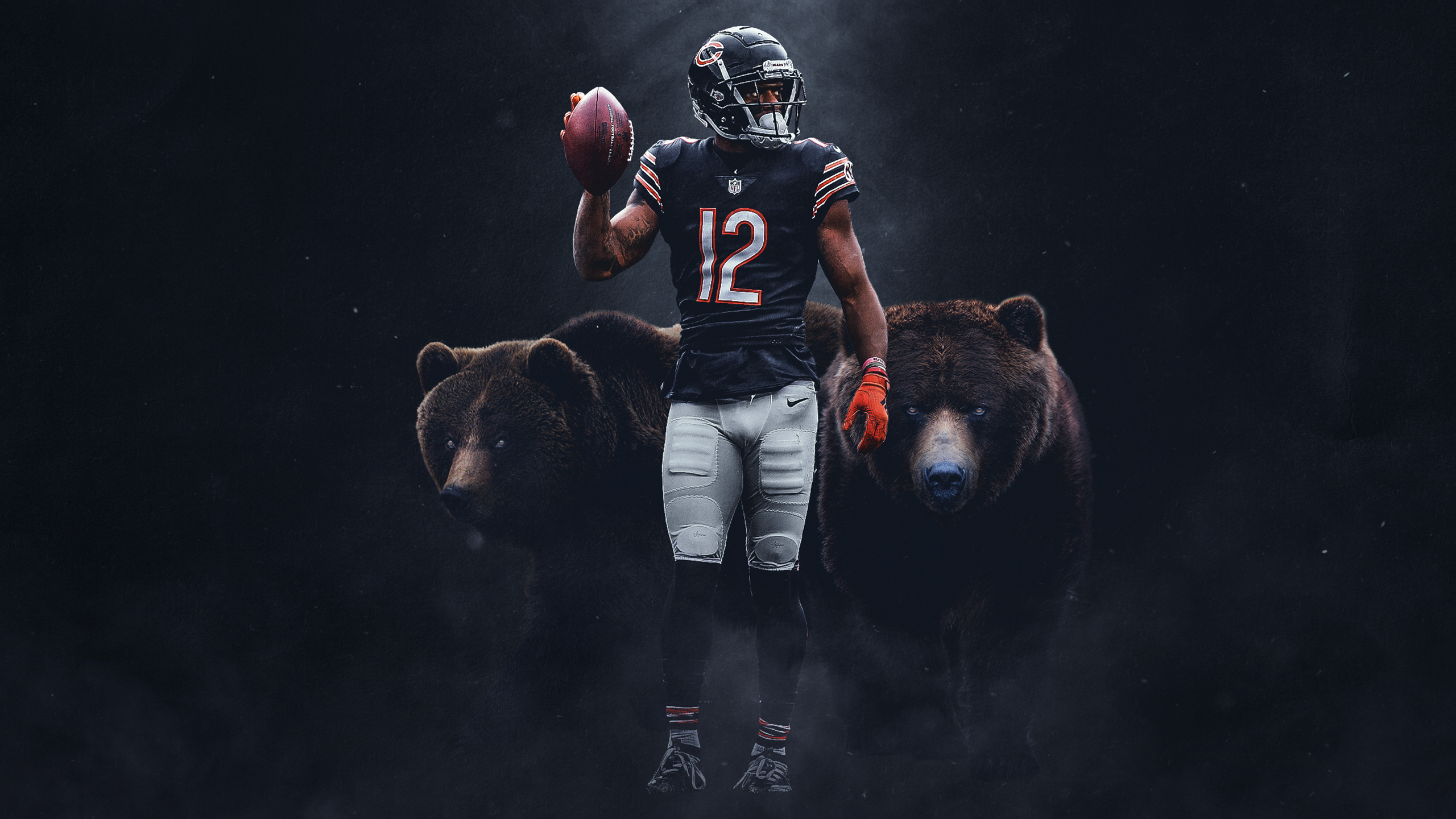 Chicago Bears Wallpapers