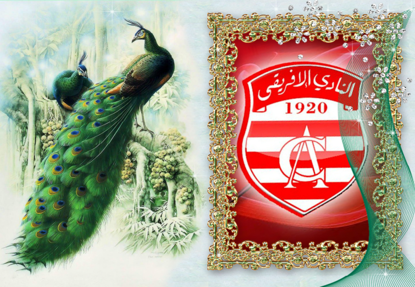 Club Africain Wallpapers